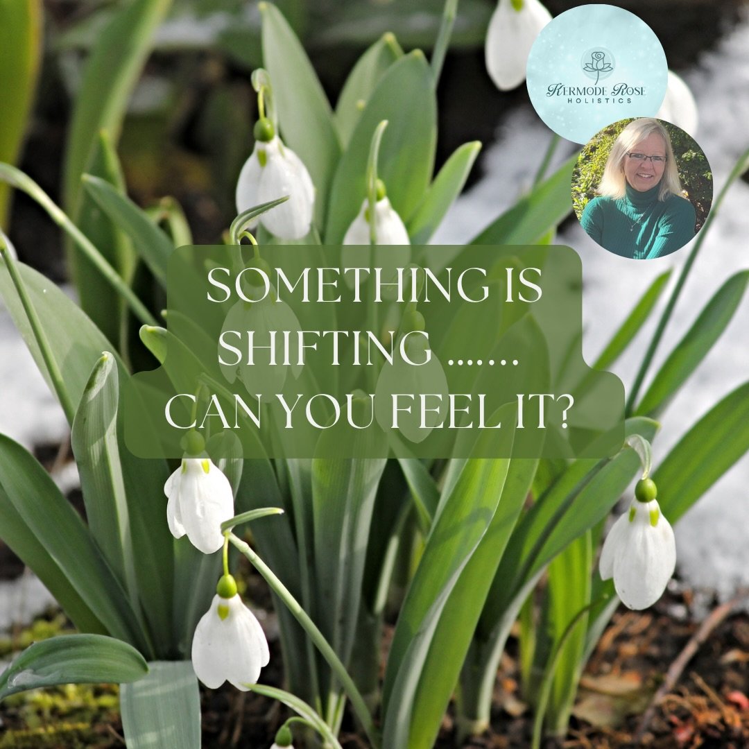 Even with the fresh snow on the ground yesterday, the shift is happening. The space between the seasons can feel a bit &ldquo;static-heavy.&rdquo; If you&rsquo;ve been feeling a little ungrounded or like you&rsquo;re carrying the last of winter&rsquo