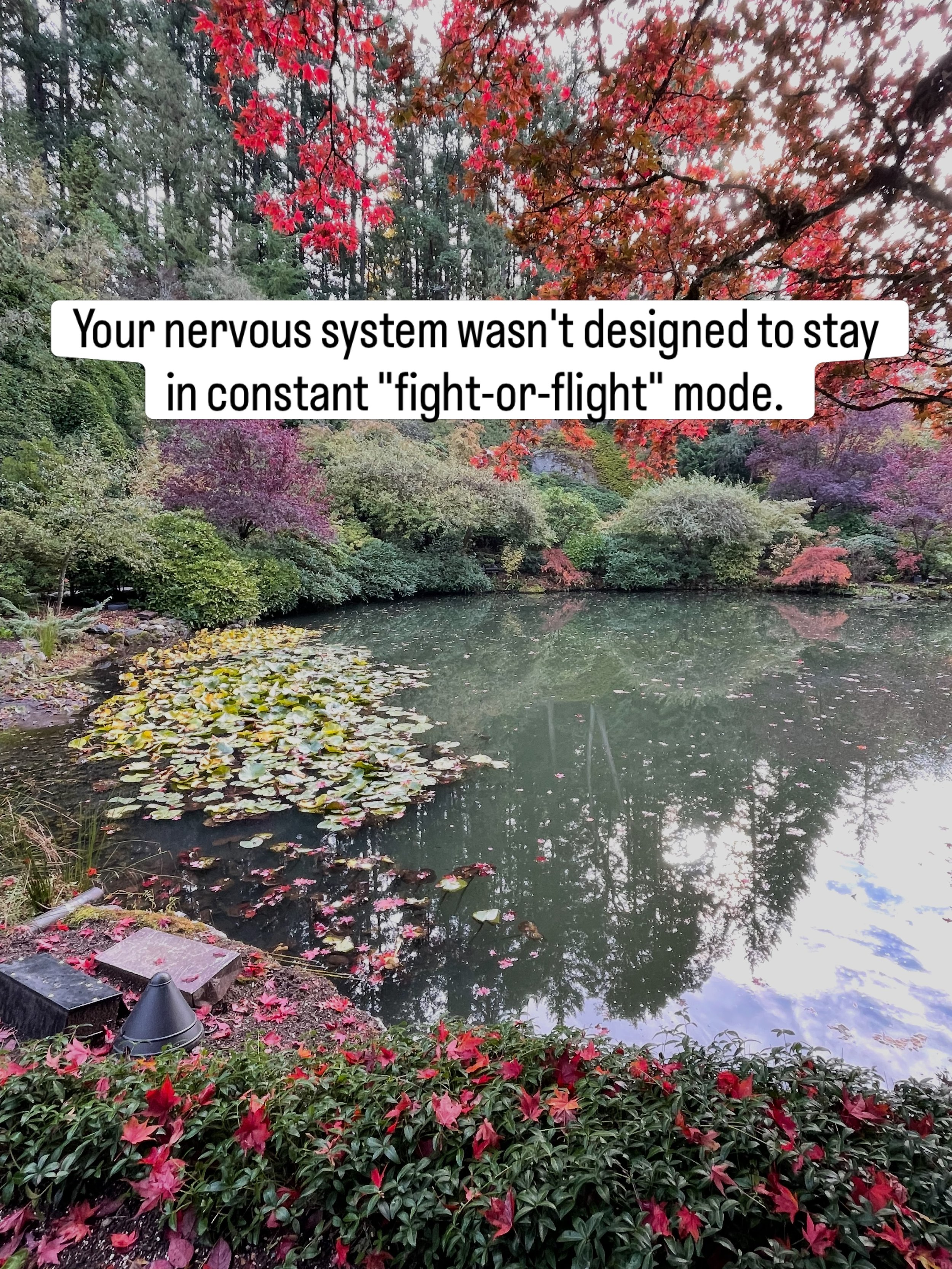 As we settle into autumn, your body naturally seeks balance, deeper rest, and time to discharge accumulated stress. If you&rsquo;ve been feeling unusually tired, anxious, or overwhelmed, a seasonal reset can help anchor your energy.

Distance energy 