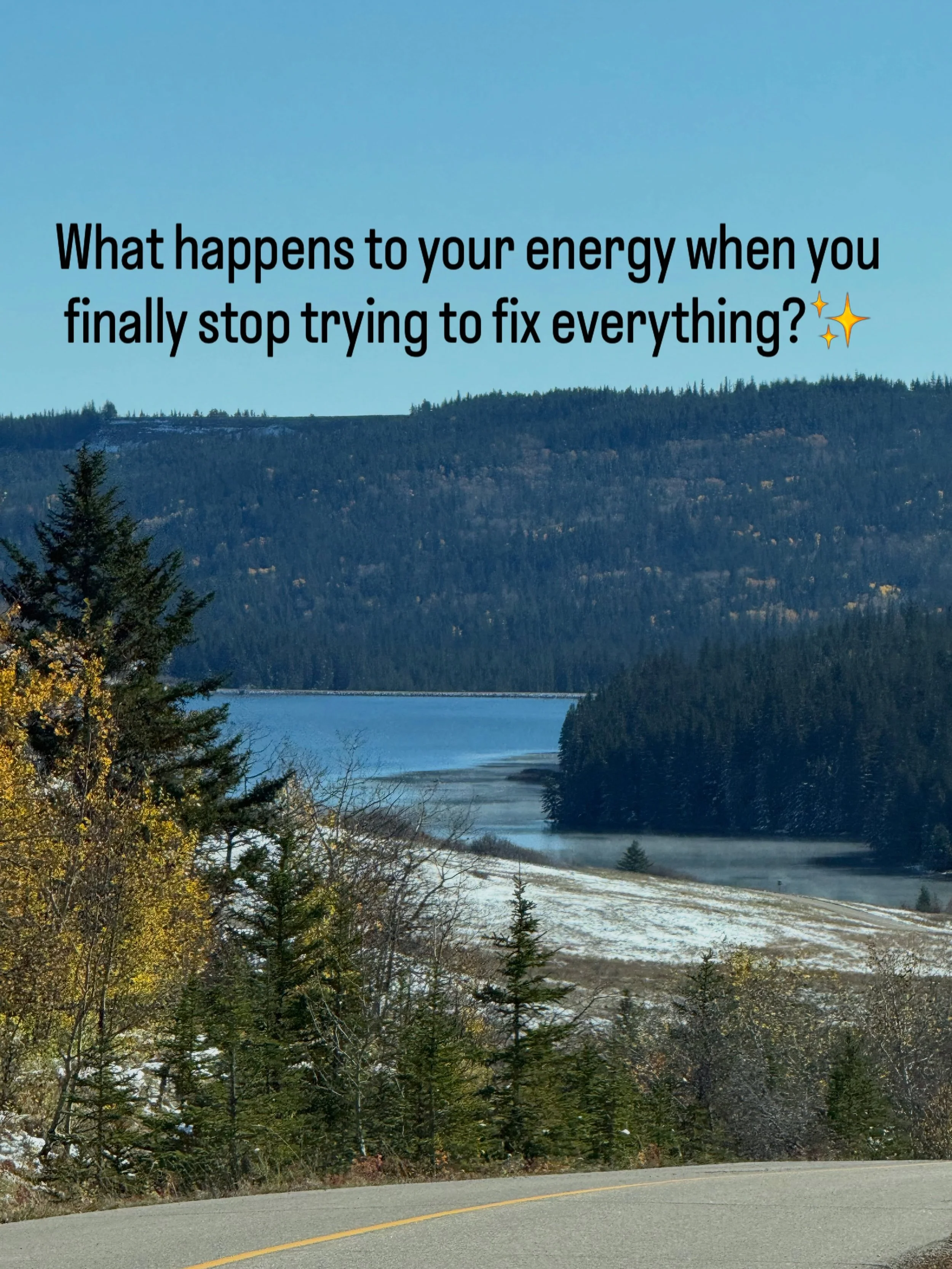 There is a quiet wisdom in how nature lets go. 🍂✨

The trees don&rsquo;t fight the changing season or cling to what no longer serves them&mdash;they simply release what they were holding and root deeply into the earth.&nbsp; 

When emotional tension