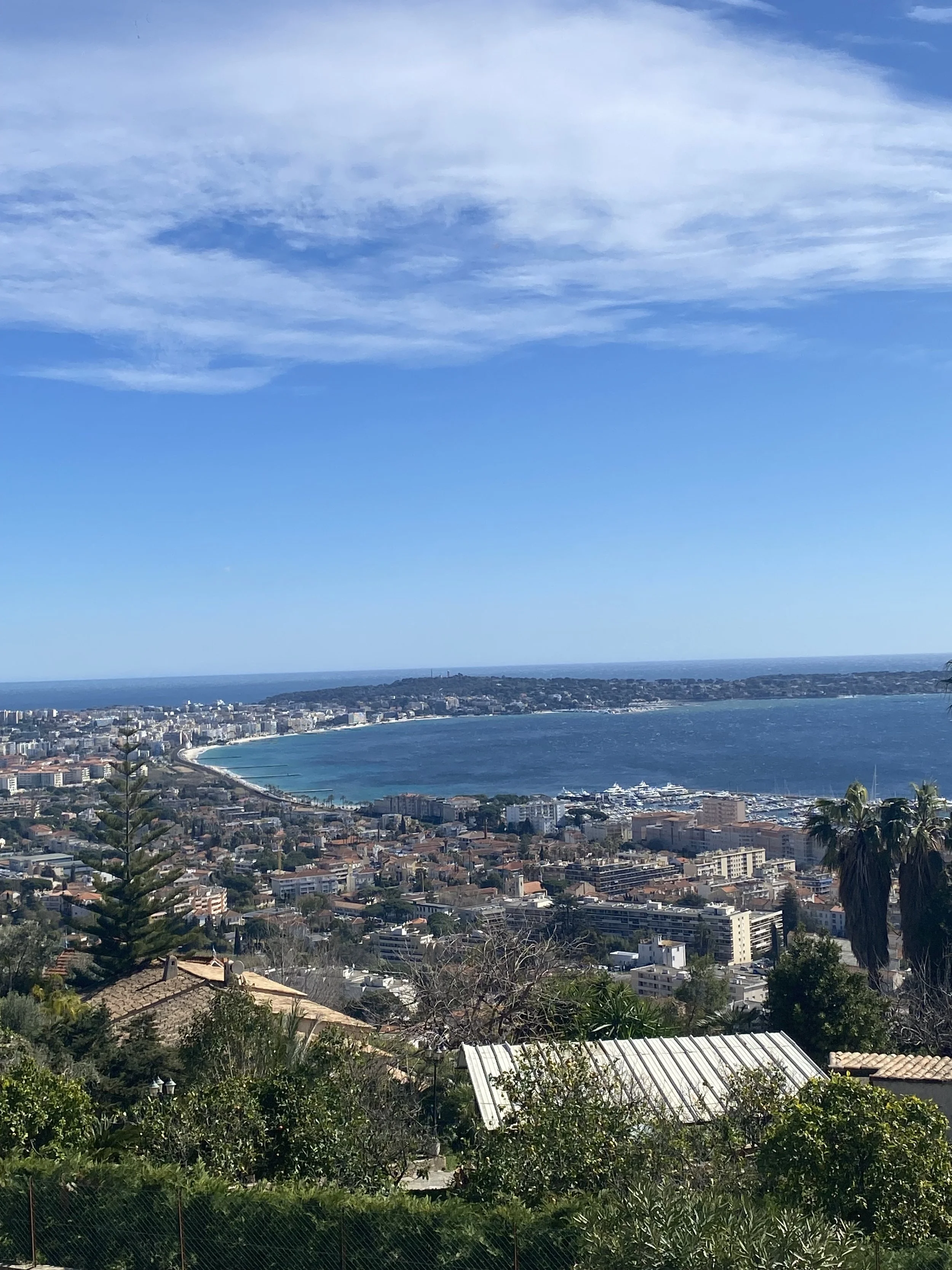 A scenic view of a coastal city with a curved bay, city buildings, and a marina with yachts, seen from a hill with trees and rooftops in the foreground under a partly cloudy sky.