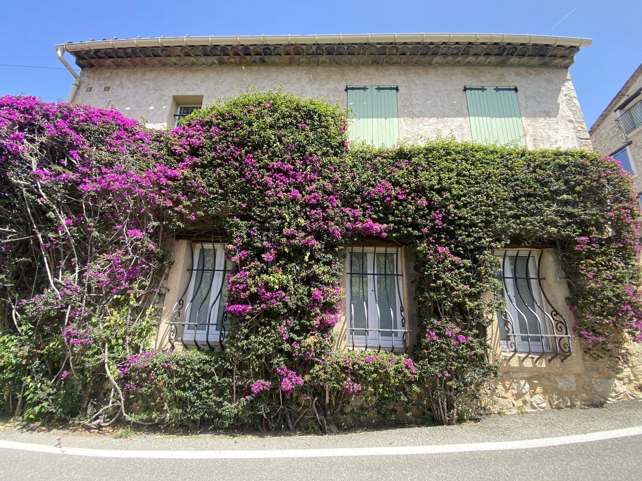 A house with a stone facade and green shutters, covered in lush pink bougainvillea vines, set against a clear blue sky.