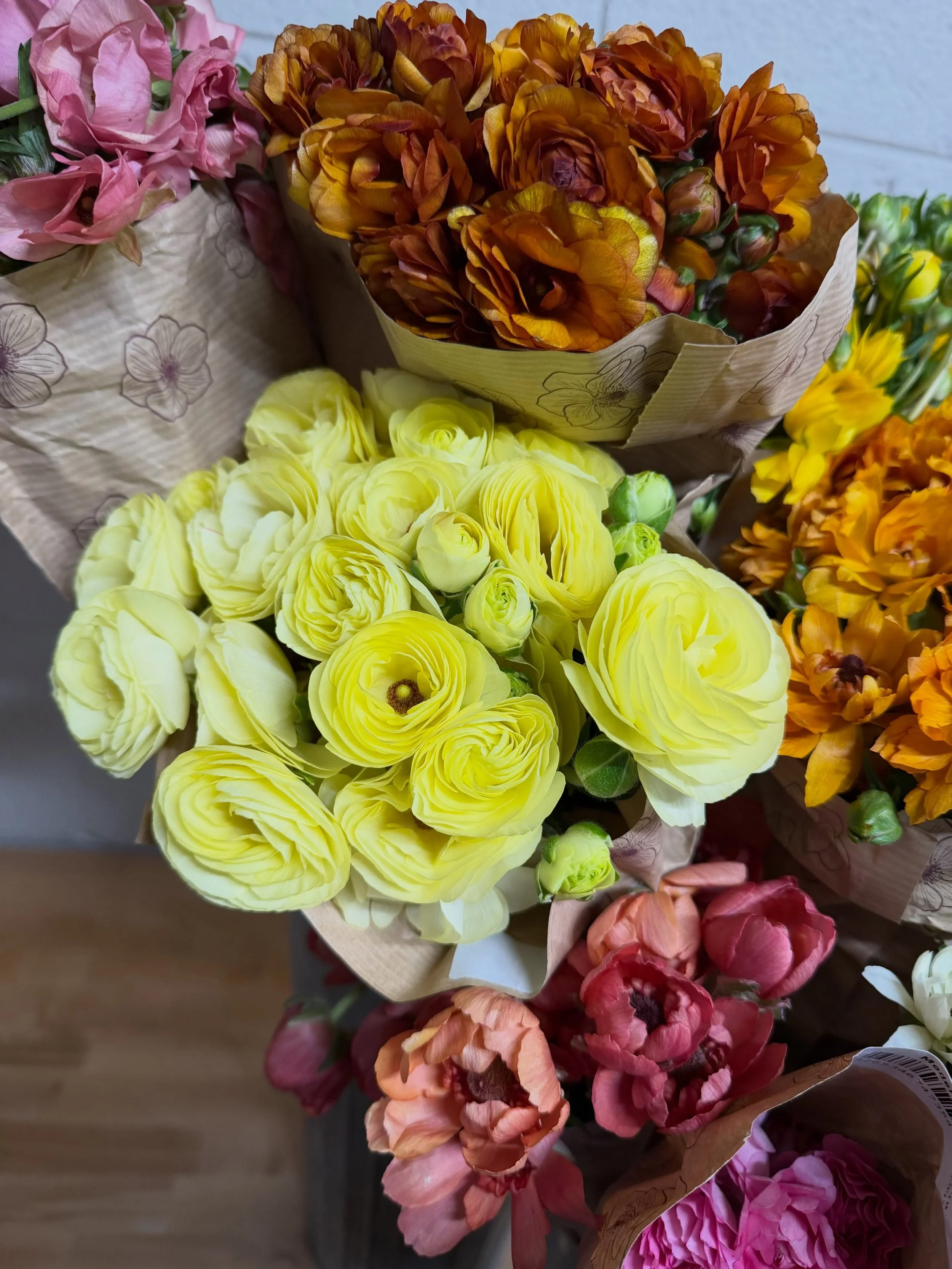 THIS assorted box of Monderna Ranunculus from @floraprimaofficial is giving us all the 😍😍😍. The colors. The varieties. The texture. We&rsquo;ll take one of everything.