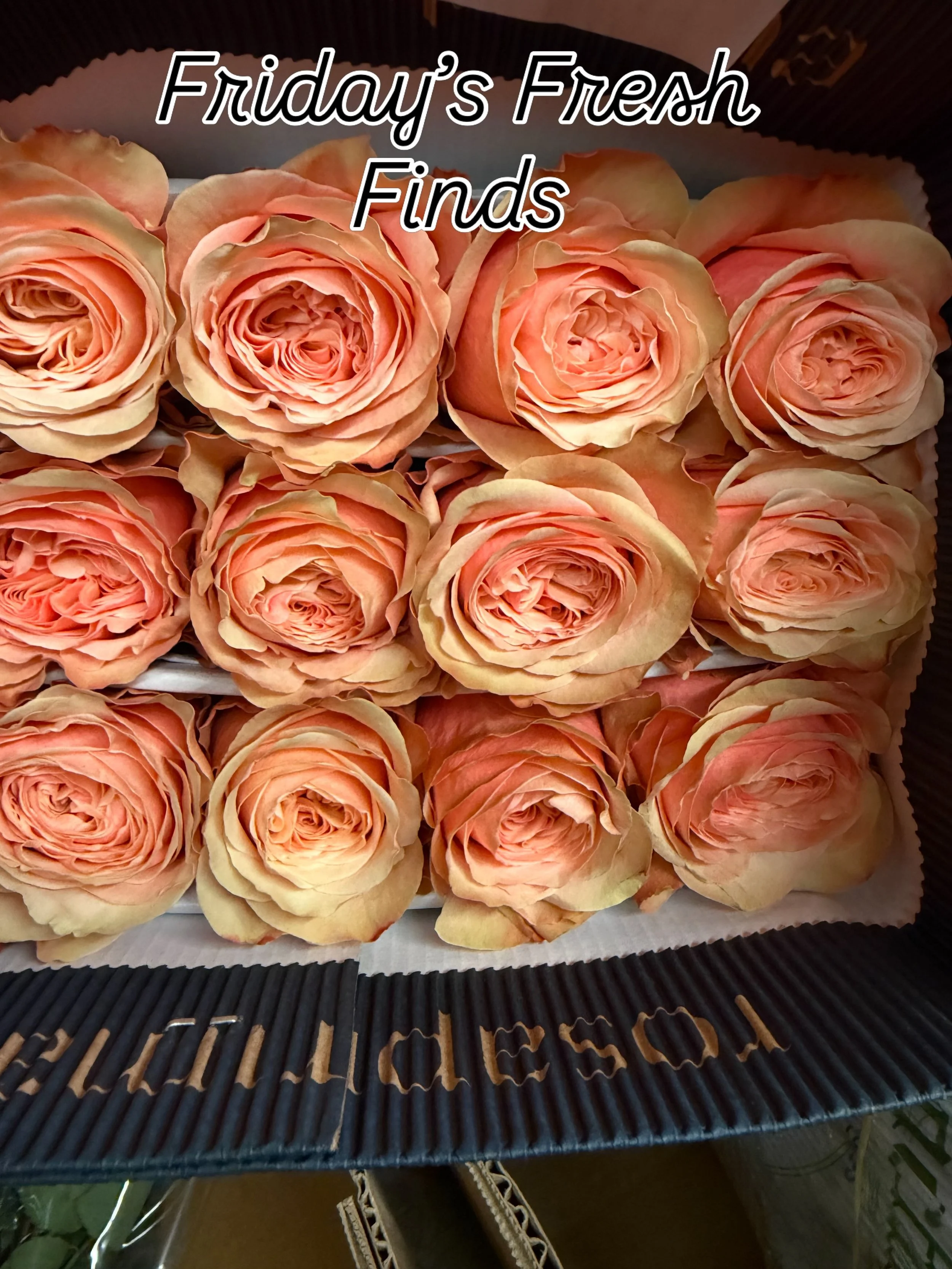 A few things that stopped us in our tracks while restocking the trucks this morning.

Rich purple lisianthus, electric blue eryngium and delphinium, golden yarrow, and those incredible peach roses. 😍

Just a little peek at what&rsquo;s on the trucks