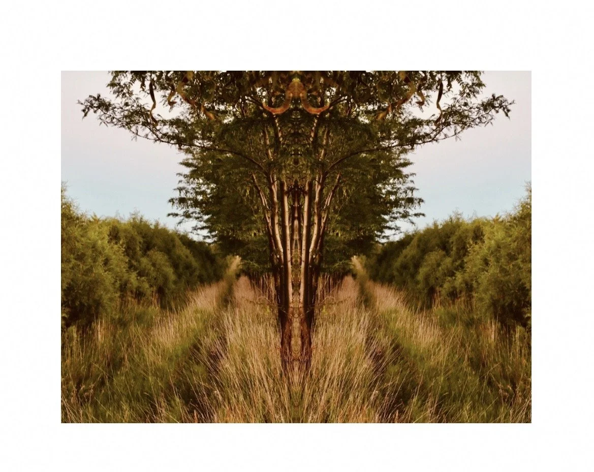 Victoria Lachaise - L'equilibre collection - Canvas