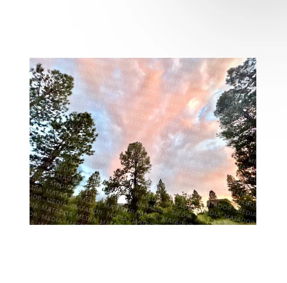 All Quiet in a Western Cabin