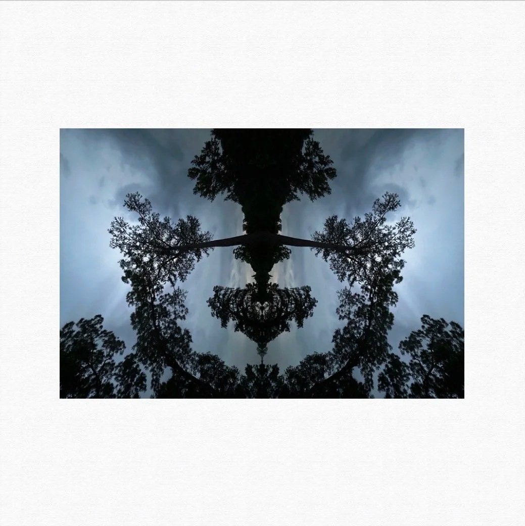 Victoria Lachaise - Print on Canvas