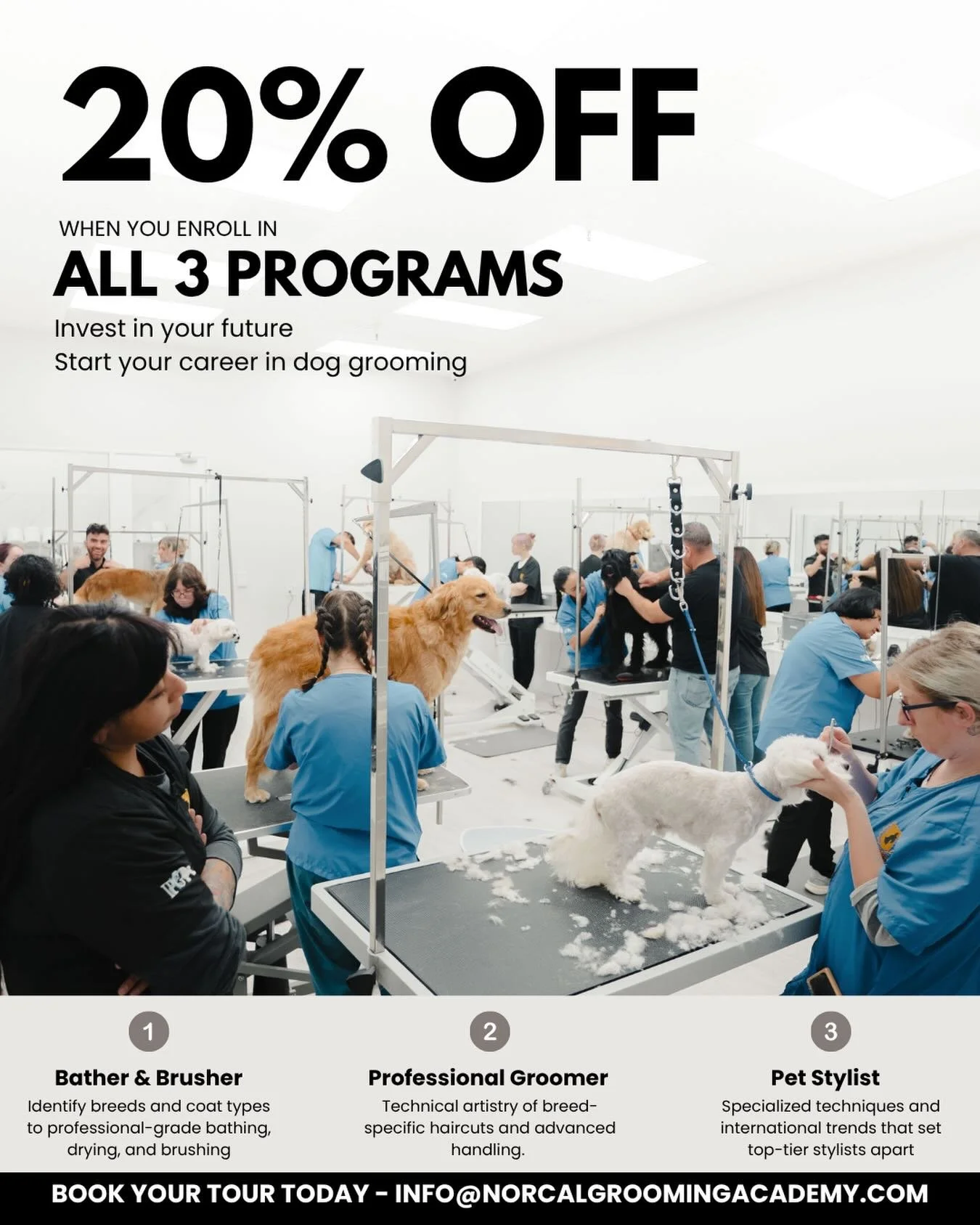 ✂️ READY TO START YOUR GROOMING CAREER? ✂️

For a limited time, receive 20% OFF tuition when enrolling in all 3 grooming programs.

Whether you&rsquo;re brand new to grooming or looking to build professional-level skills, our programs are designed to
