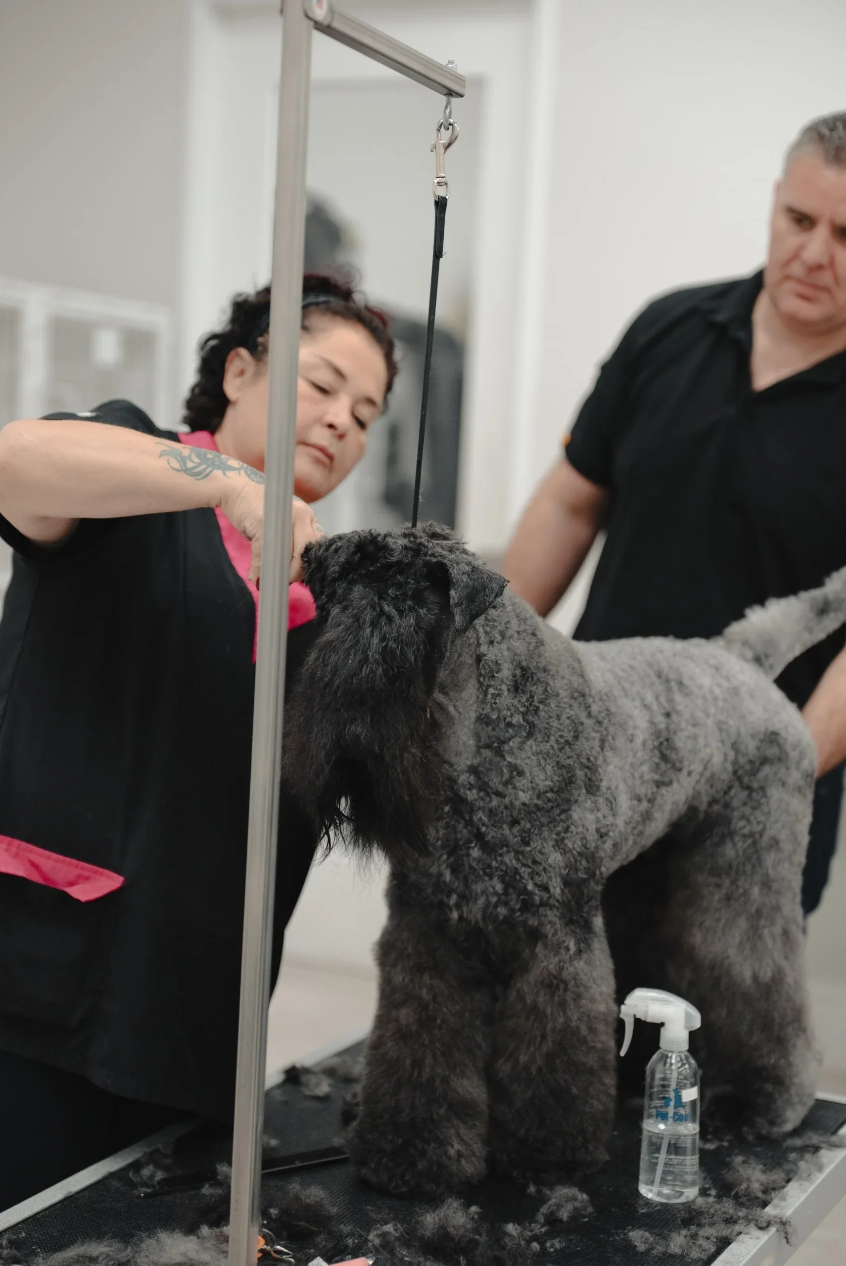 Ann & Pena - All Breeds Workshop