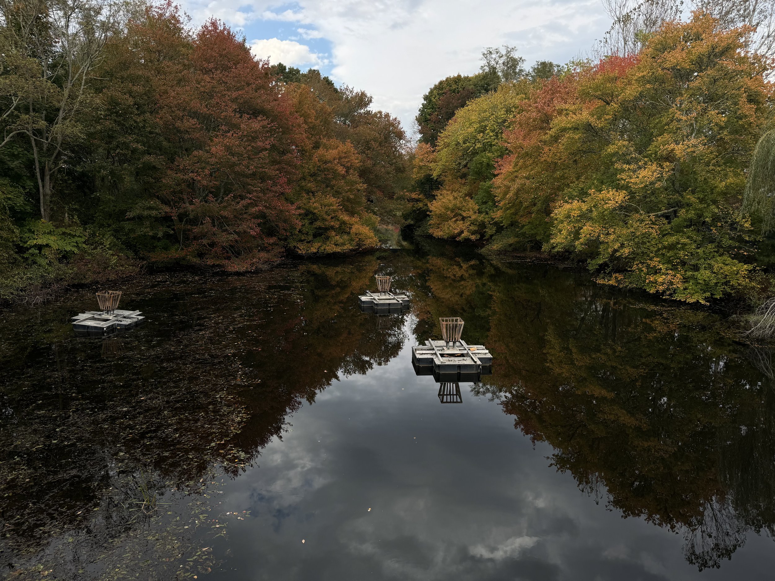 A calm river with floating platforms and tree-lined banks showcasing fall foliage in shades of green, yellow, and orange, reflecting in the water.