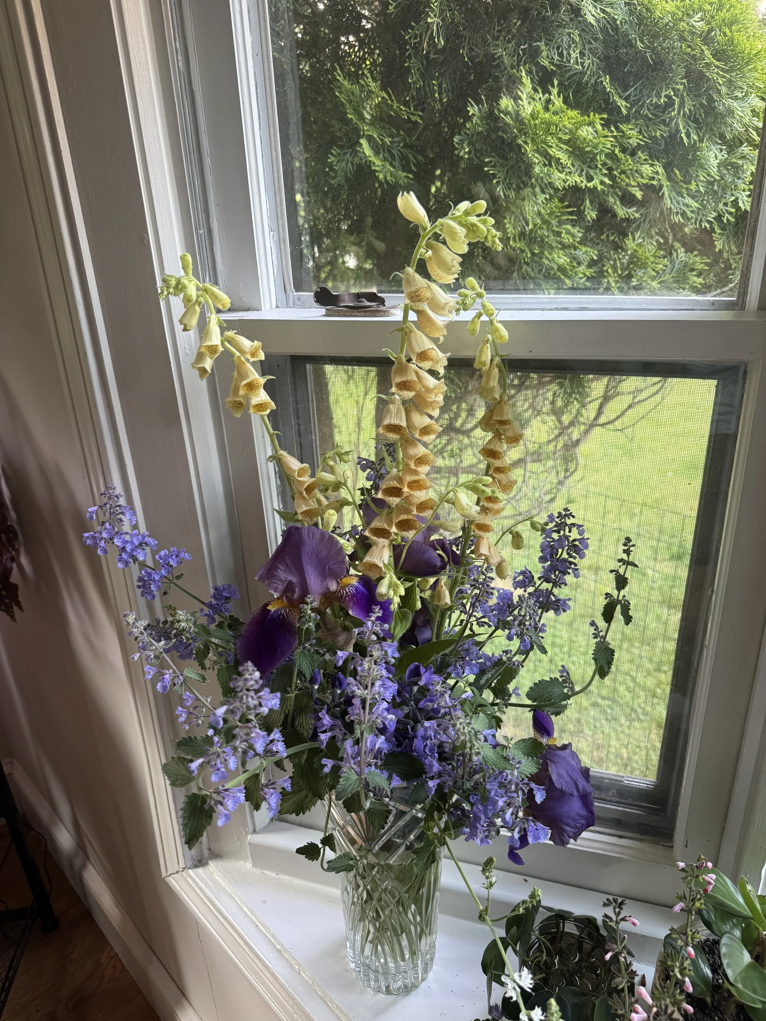 A glass vase containing a colorful bouquet of purple, yellow, and green flowers on a windowsill with a view of a garden outside.
