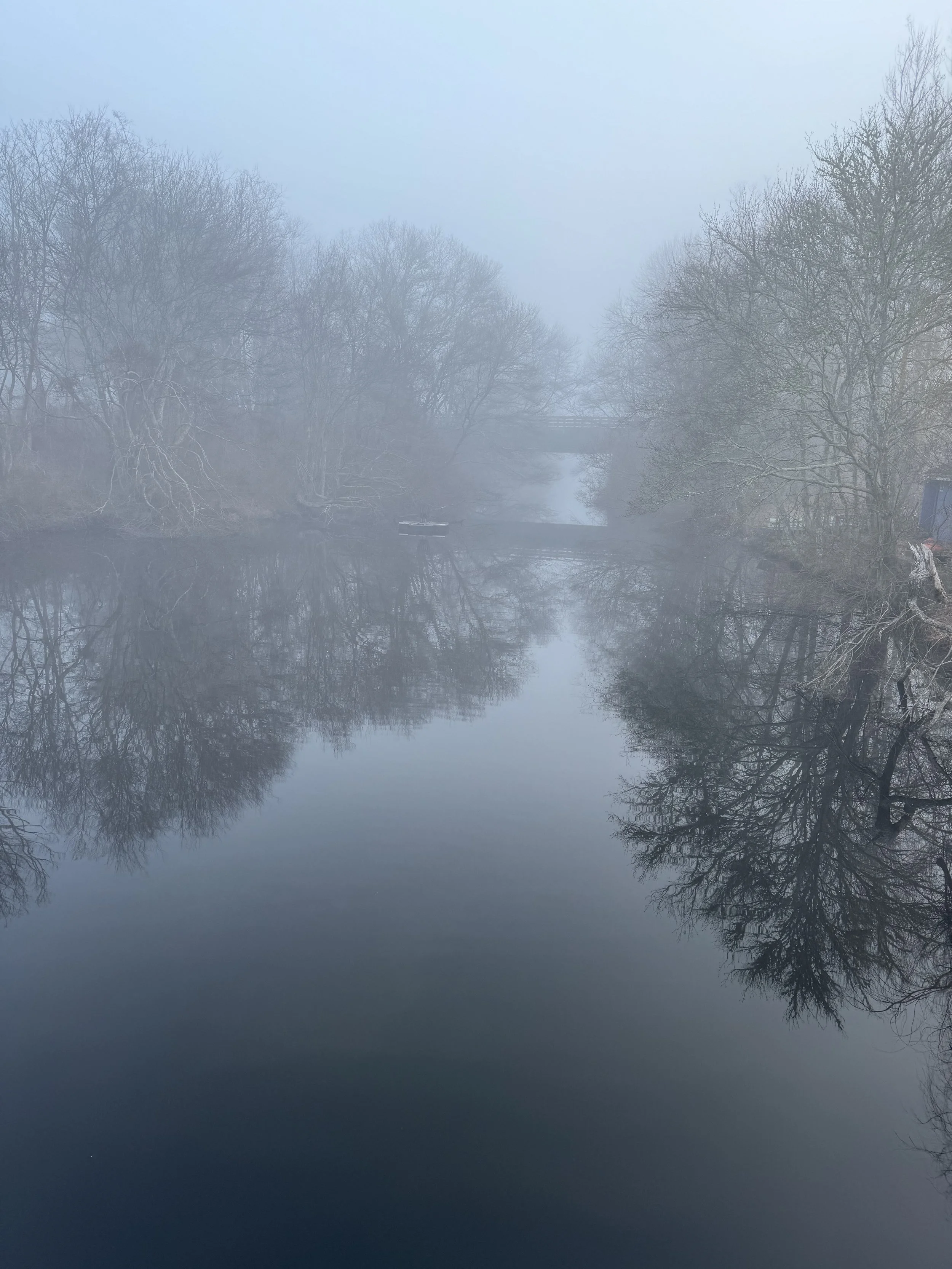 A foggy river scene with bare trees on either side, their reflections visible in the water, and a bridge faintly visible in the background.