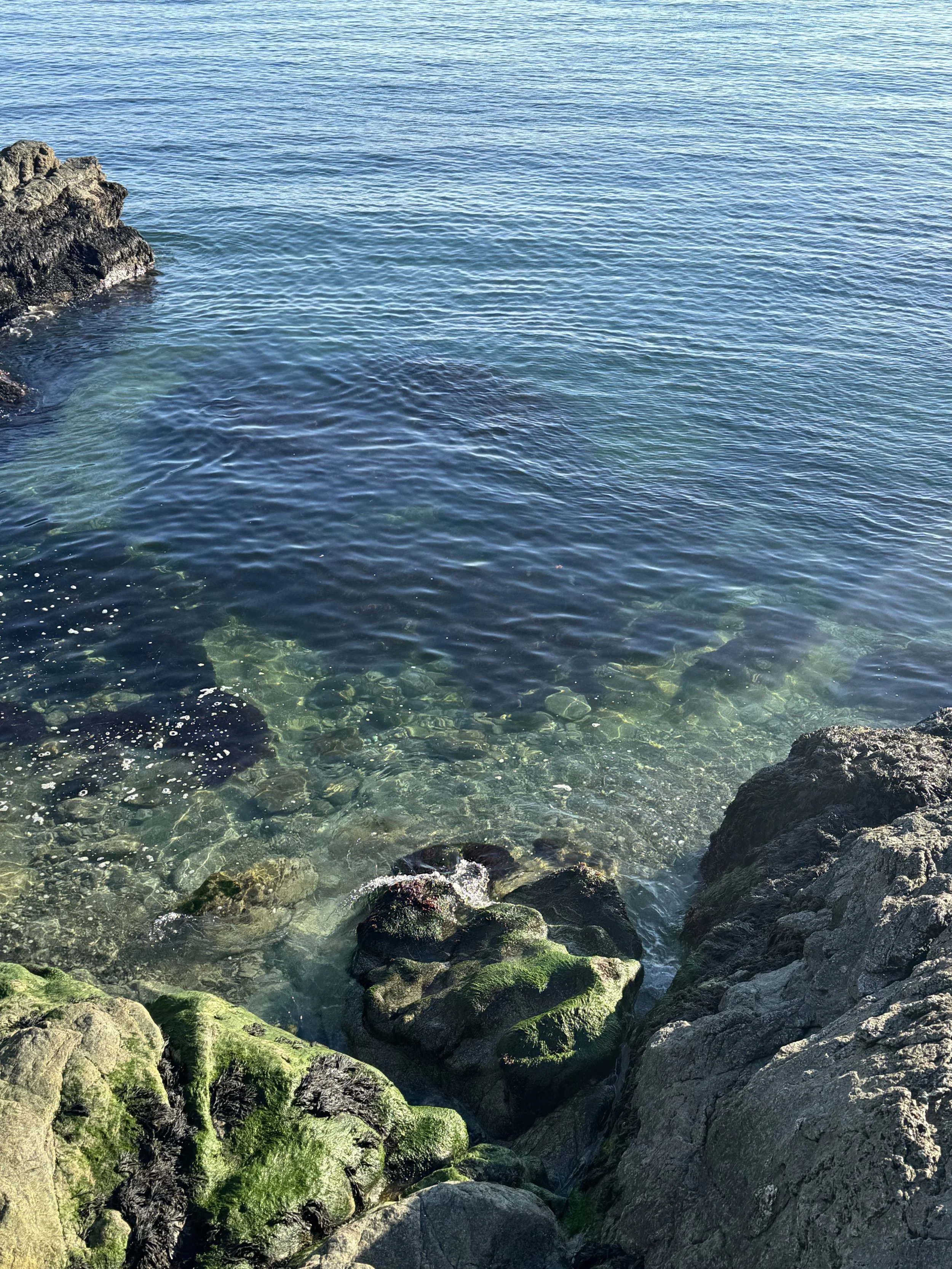 Clear blue ocean water near a rocky shoreline with green moss-covered rocks.