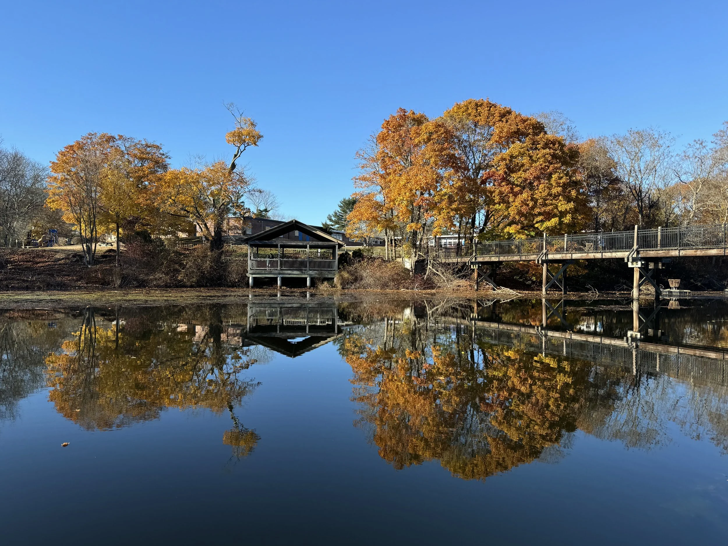 A lake with a reflective surface showing trees with orange autumn leaves, a blue sky, and a small pavilion and bridge on the shoreline.