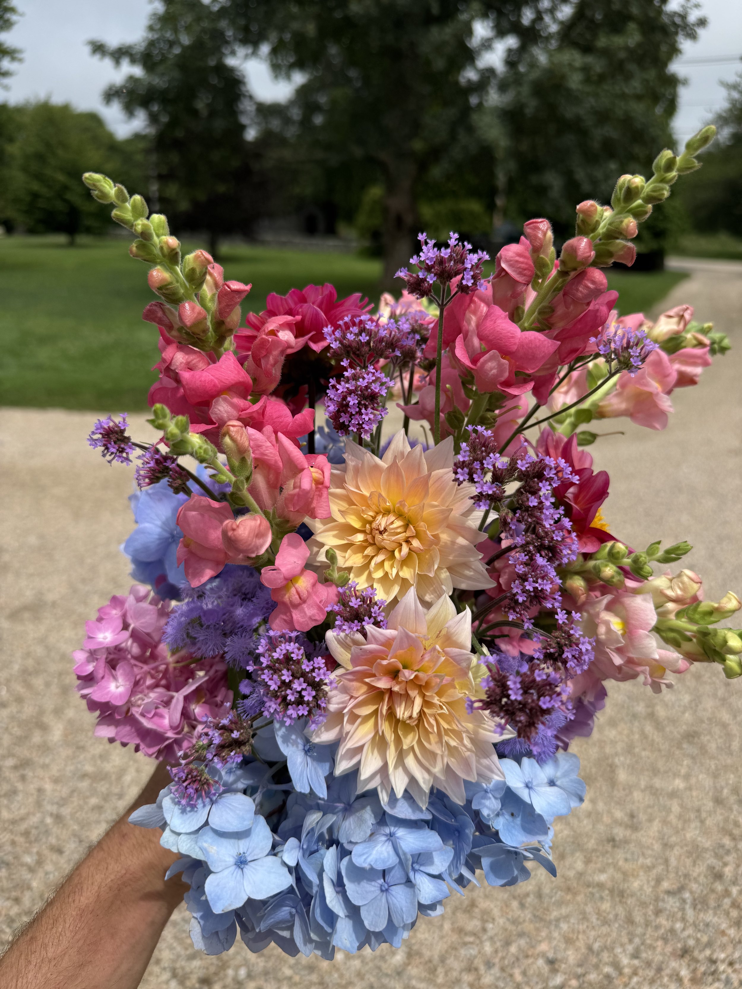 A colorful bouquet of various flowers including pink, purple, blue, and cream-colored blooms held outdoors with trees, grass, and a dirt path in the background.