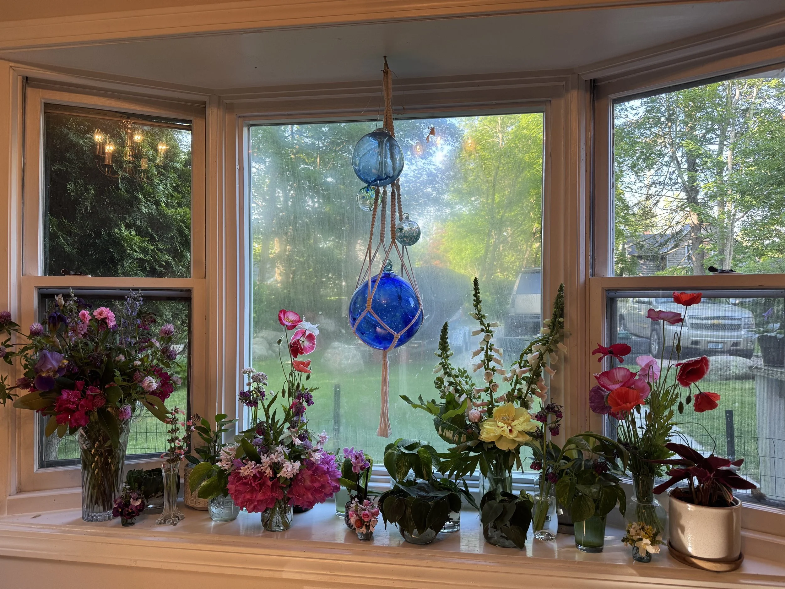A windowsill with various potted and cut flower arrangements, including pink, purple, and yellow flowers, with a view of a green yard and parked cars outside.