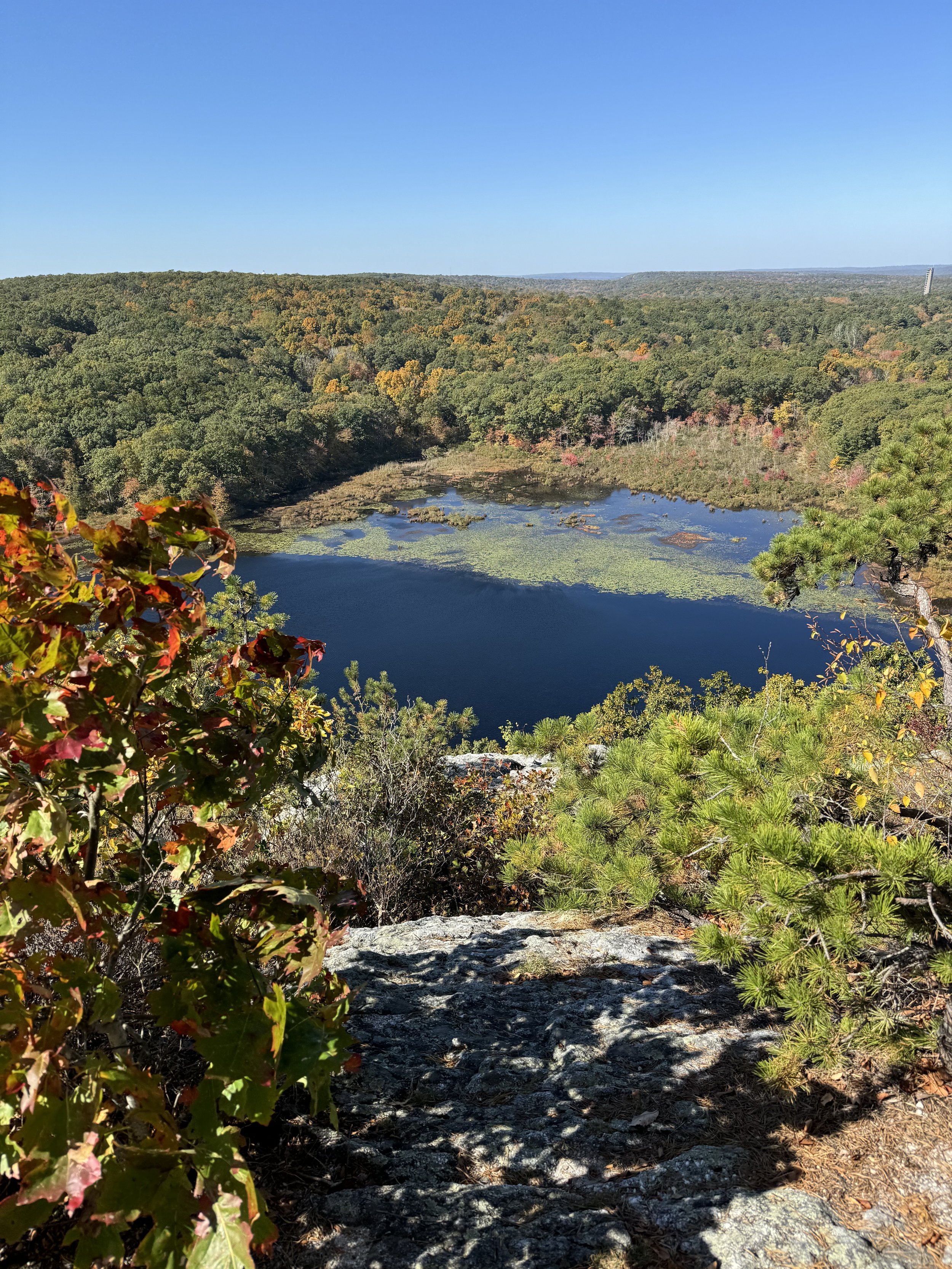 A scenic view of a forested landscape with a small lake or pond in the center, surrounded by trees showing fall colors, under a clear blue sky.
