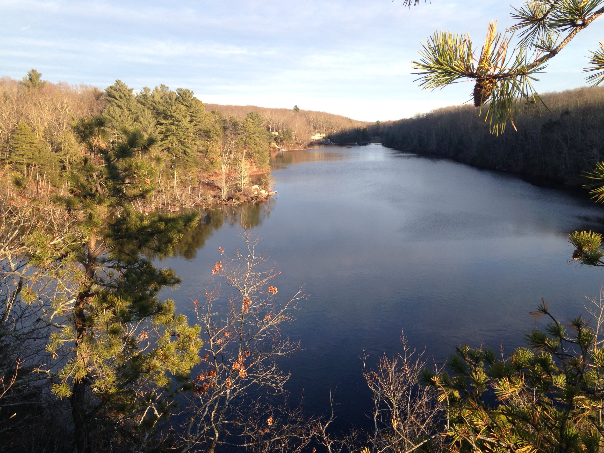 A peaceful river flows through a wooded landscape, framed by pine trees with some winter foliage, under a partly cloudy sky.