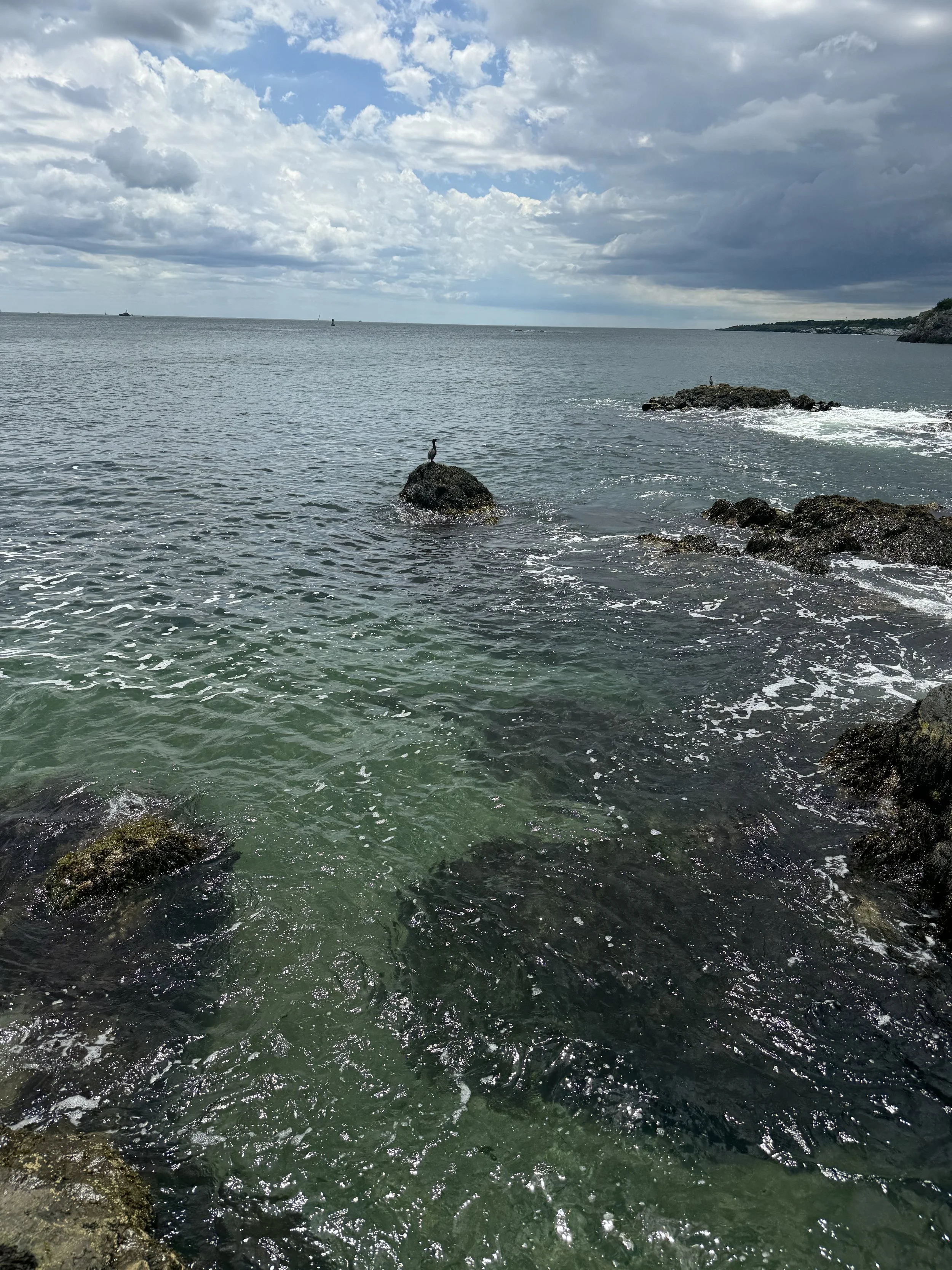 Ocean with rocks and a bird perched on one of the rocks, cloudy sky above.