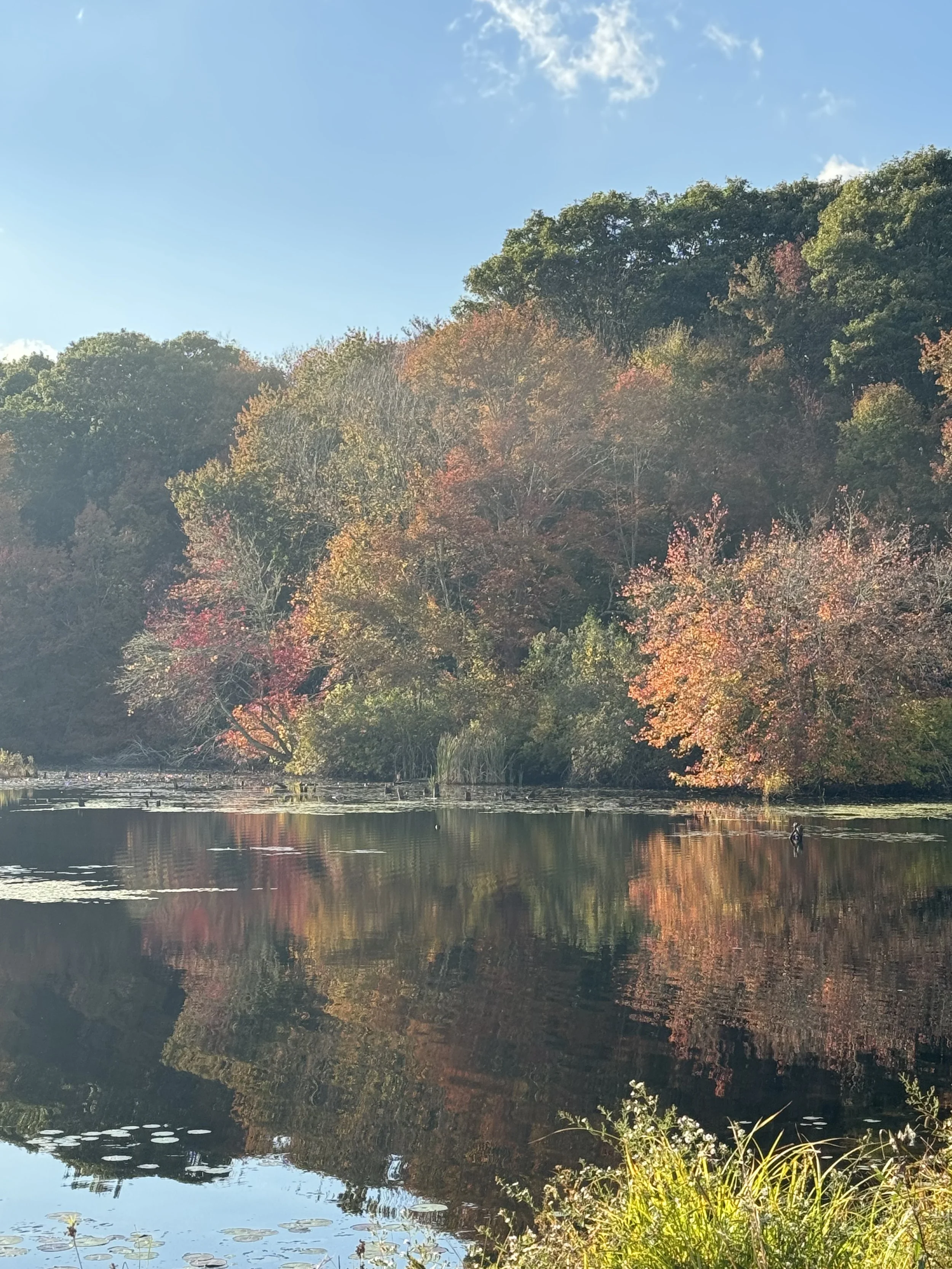 Autumn landscape with trees reflecting in a calm lake under a blue sky with some clouds.