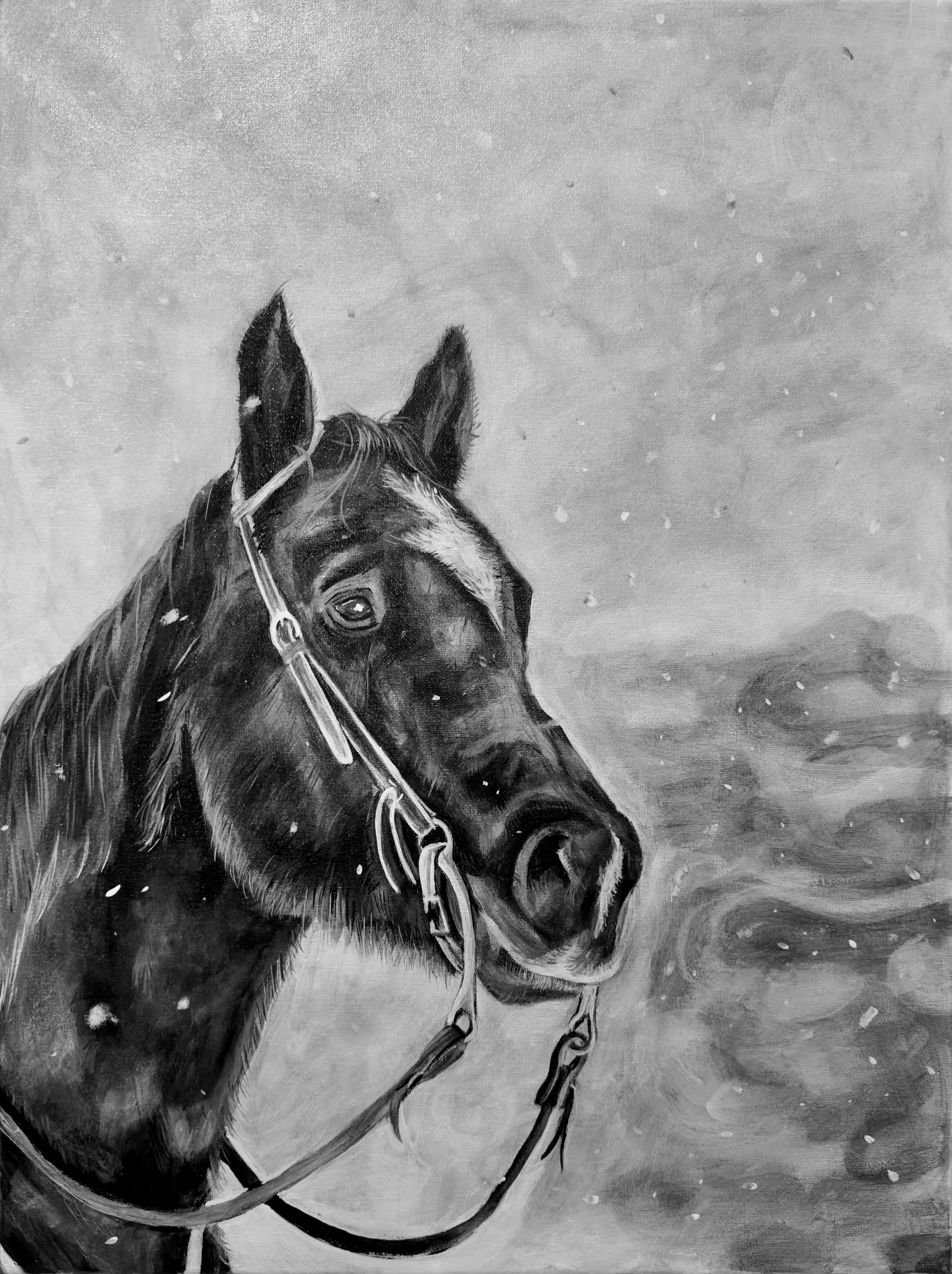 Black and white painting of a horse in snow, facing slightly to the right.