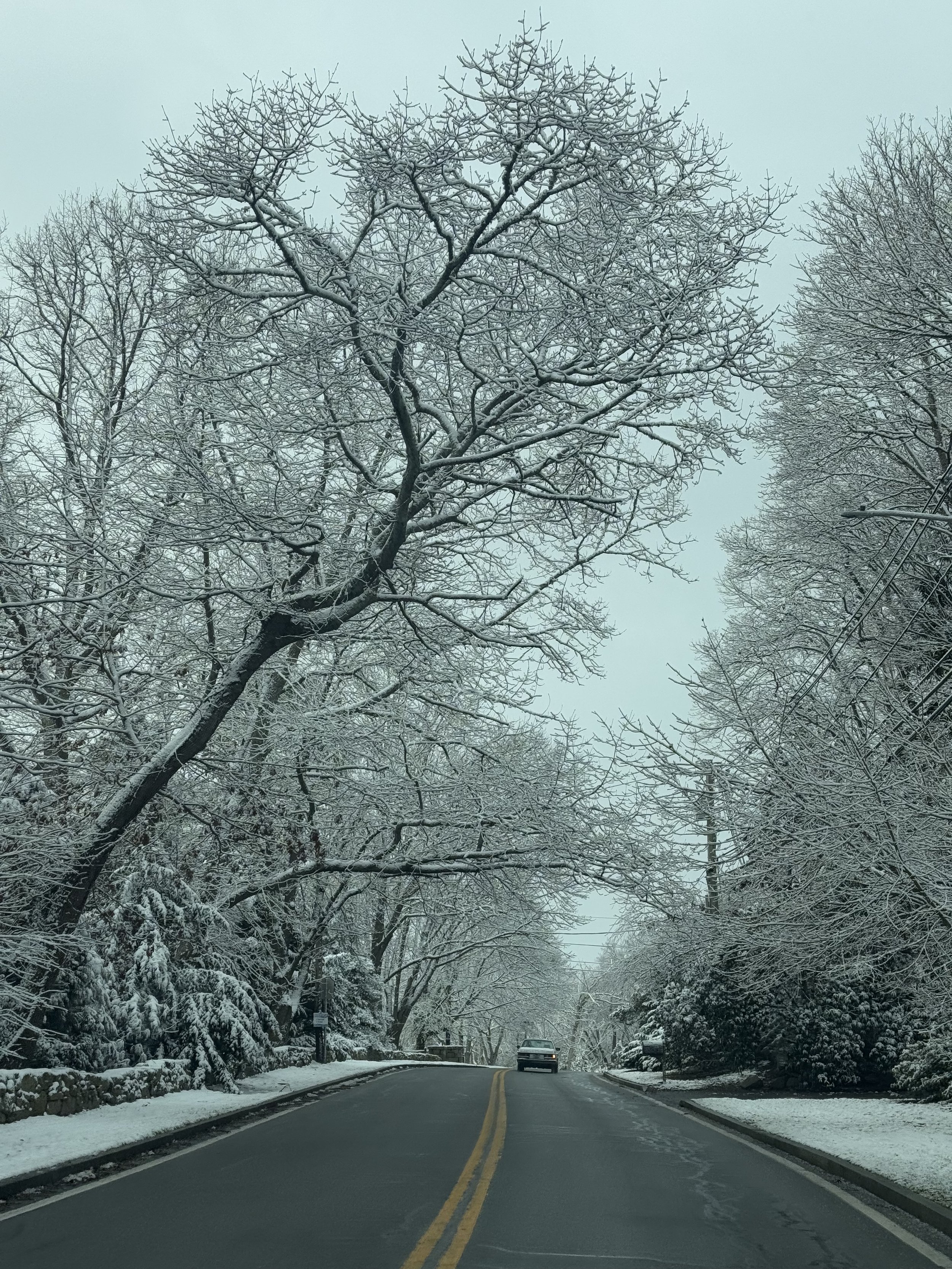 A snow-covered suburban street with leafless trees on both sides and a single car driving down the road.