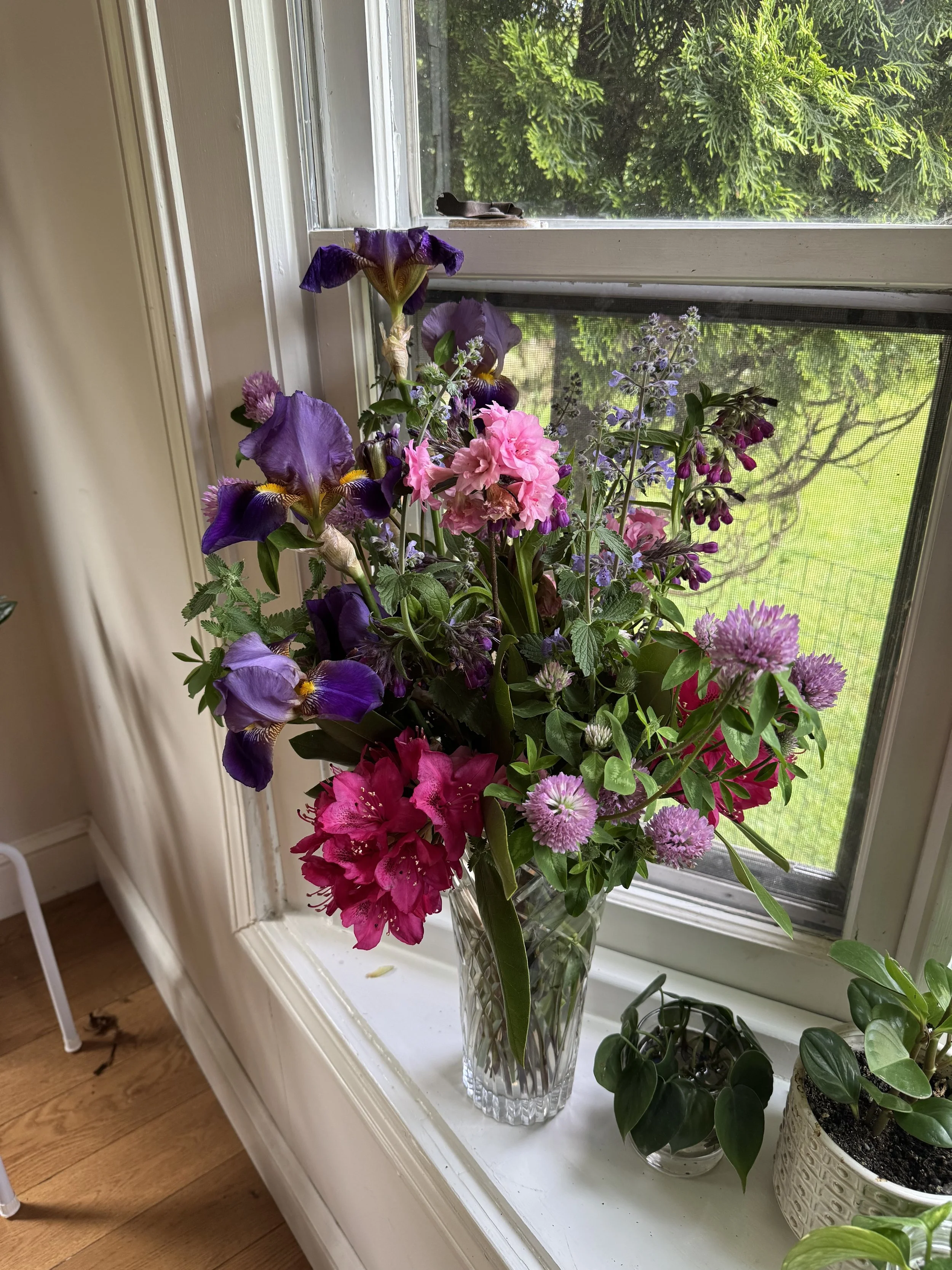 A bouquet of colorful flowers in a clear glass vase on a windowsill, with a green outdoor scene visible through the window.