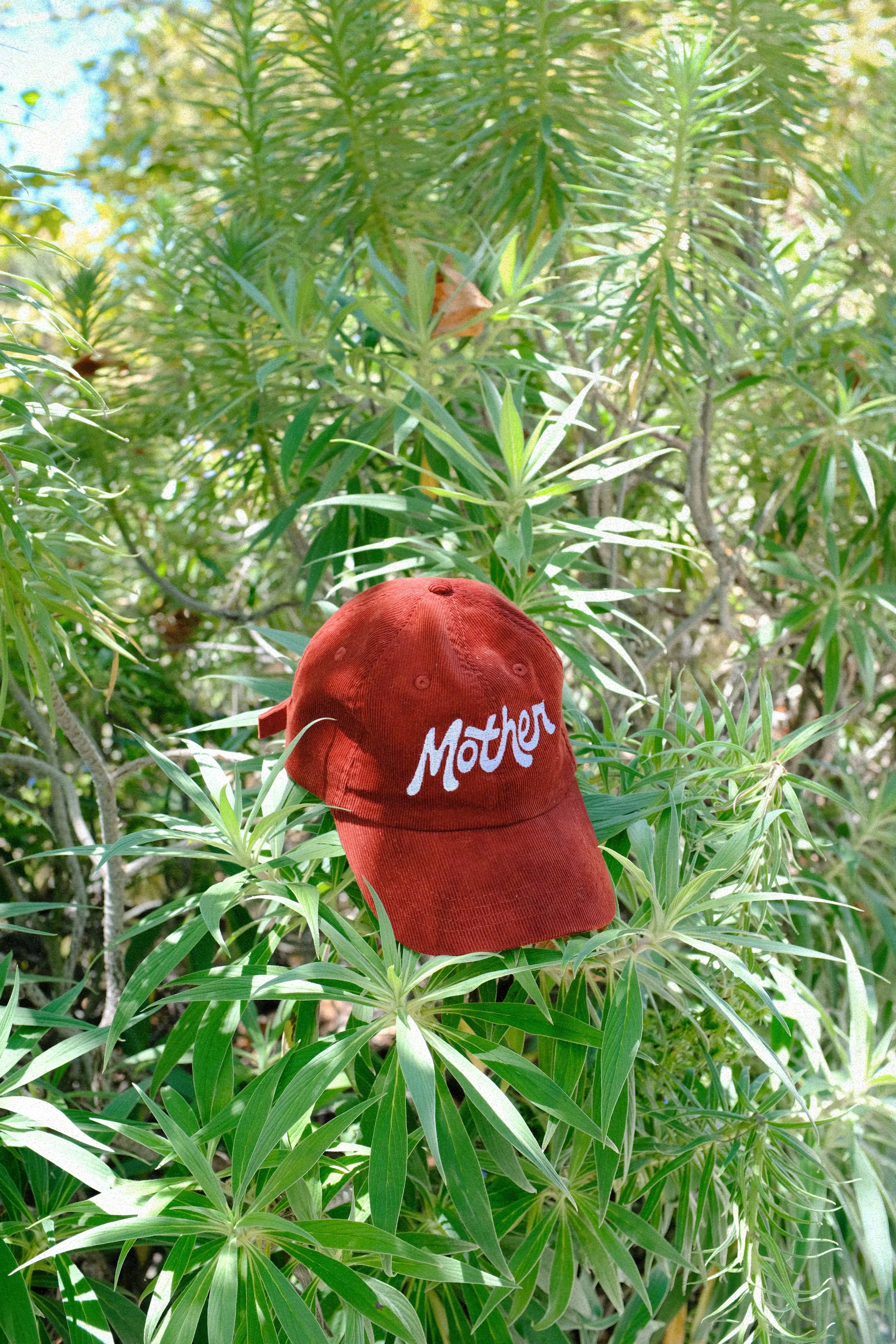 A red baseball cap with the word 'Mother' embroidered on it, placed among green leaves of a dense shrub.