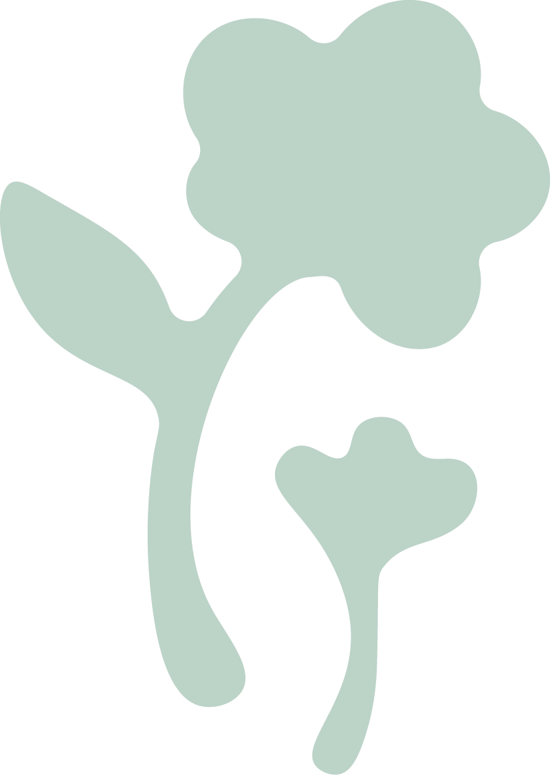 Silhouette of a plant with leaves and a large flower or bloom against a black background.
