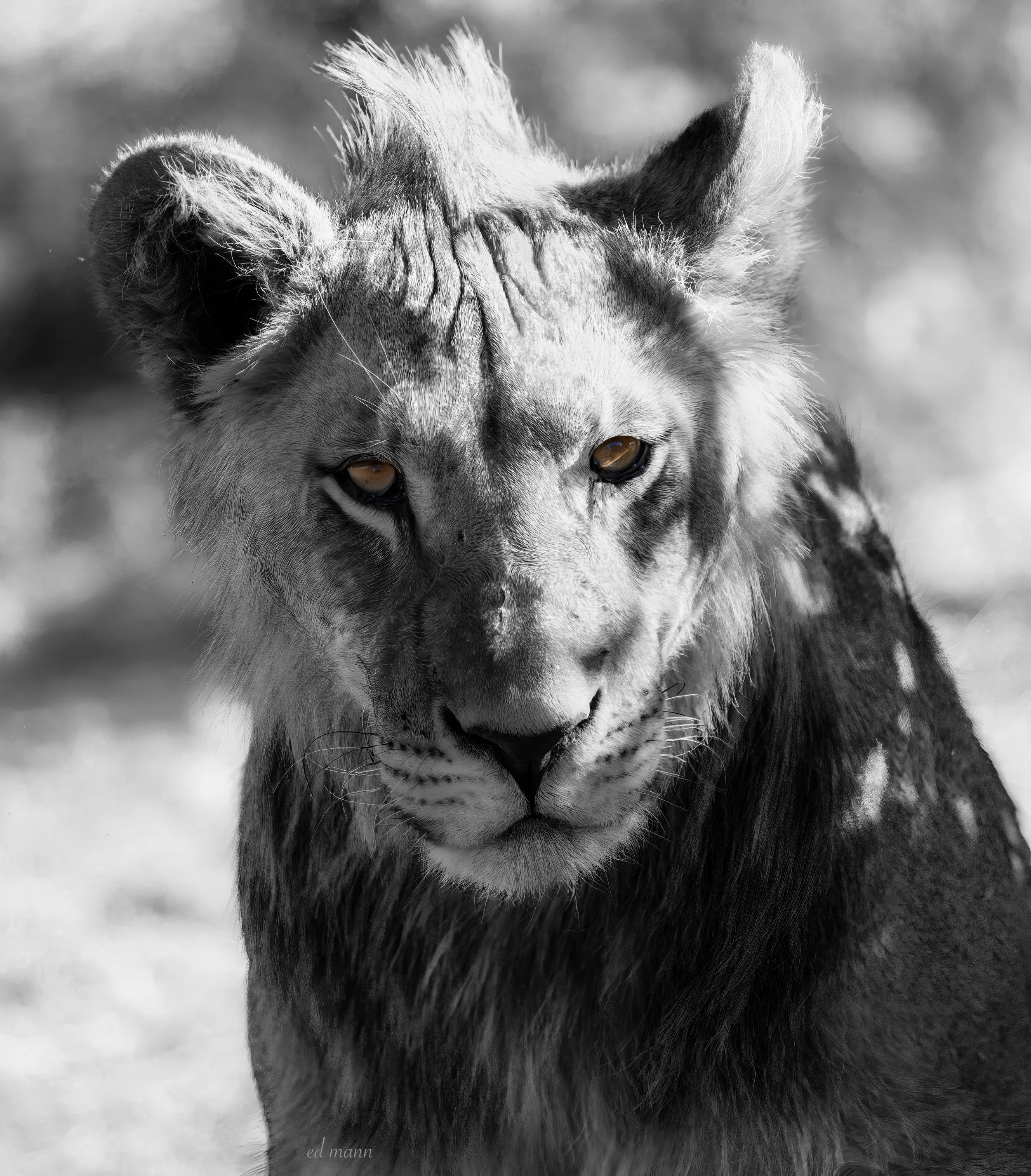 Intermediate Service