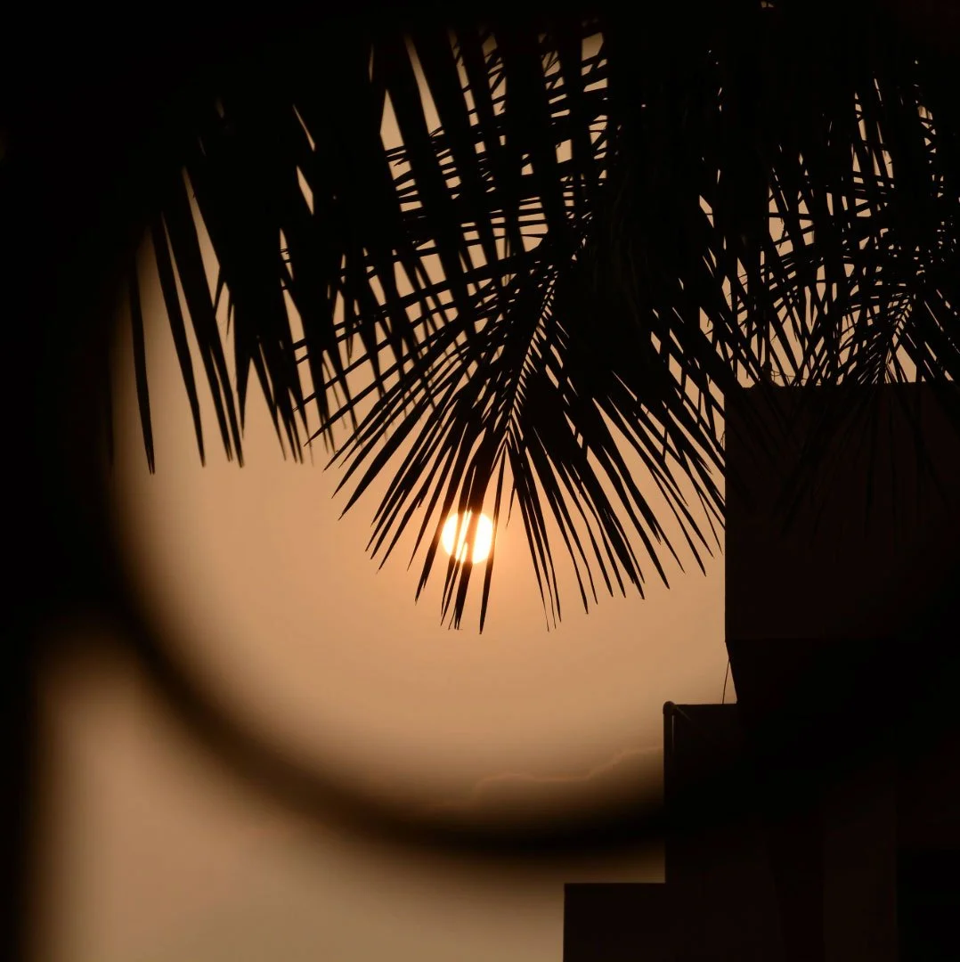 sunset in LA