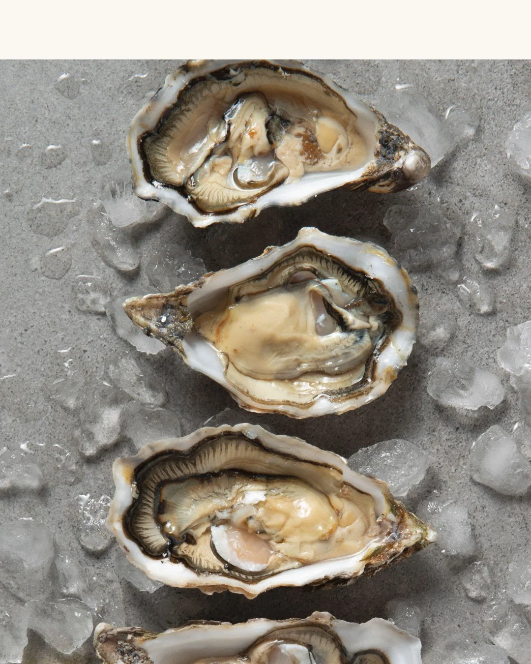 The ocean in a single bite.⁠
⁠
Follow us and subscribe to our email list at the link in bio to stay updated.
