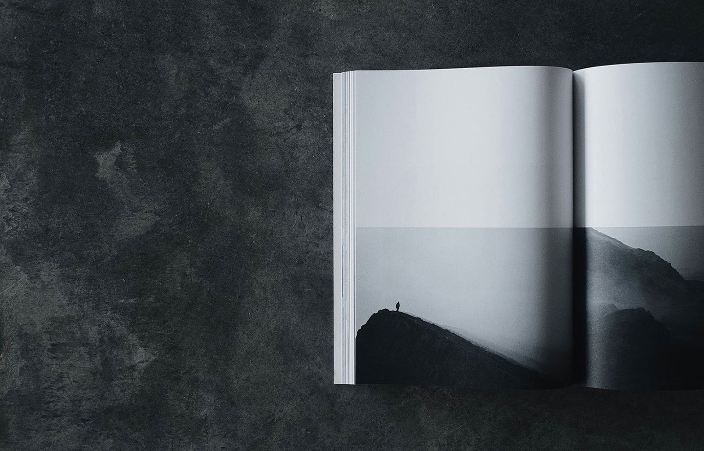 an image of an open book