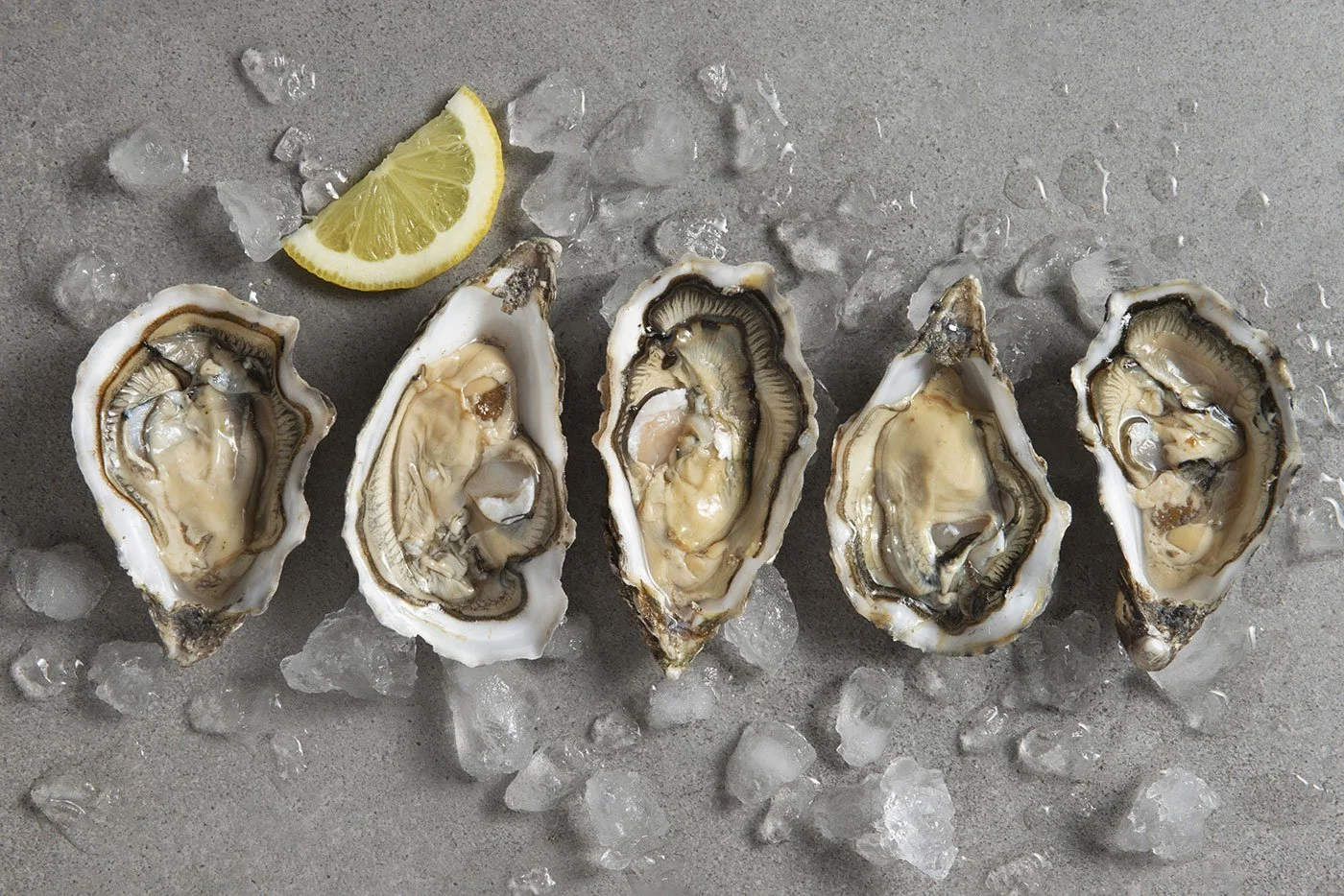 an image of oysters