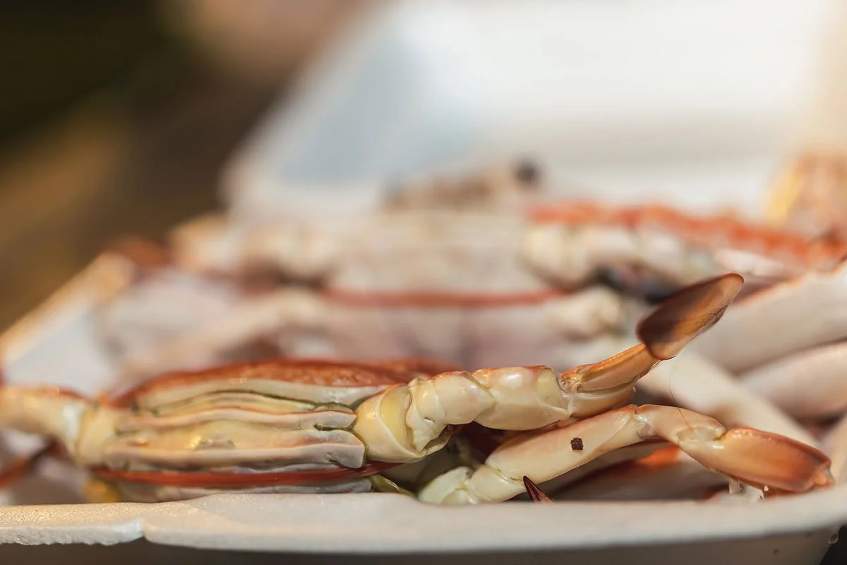 crab legs close up