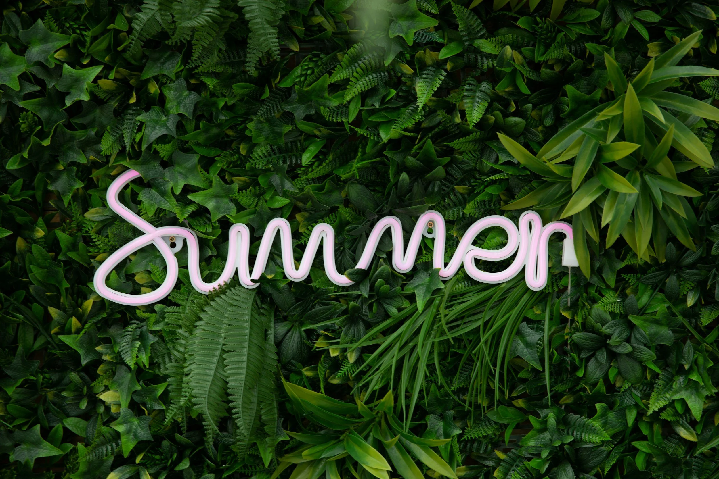 When Summer Gives You More Energy… Here’s How to Keep It Going