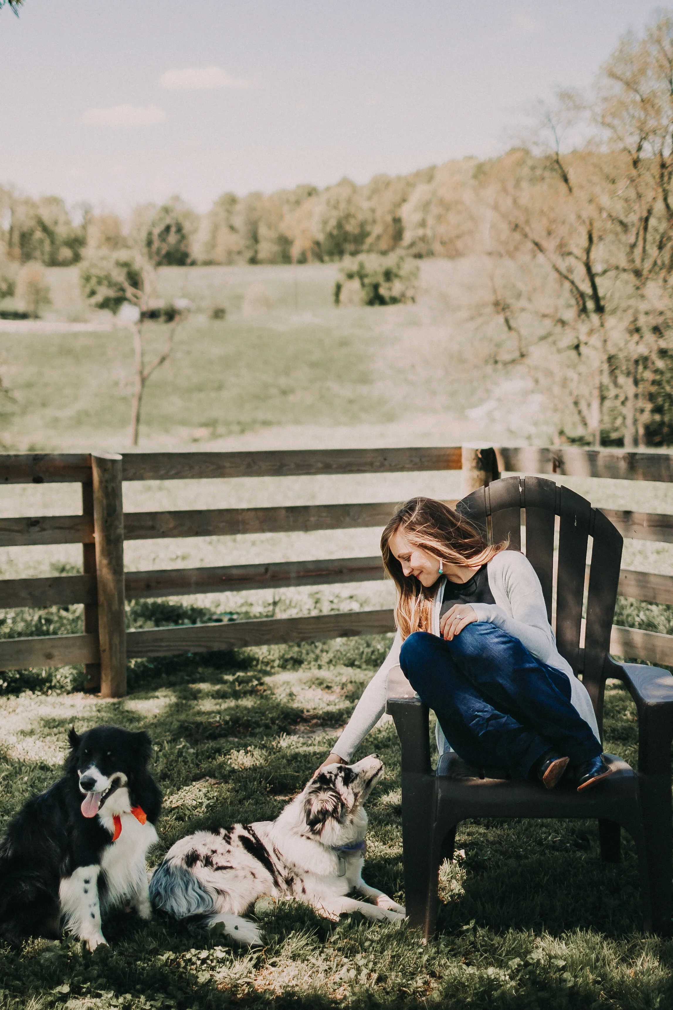 A woman sitting on a bench outdoors, petting two dogs, with a green field and trees in the background on a sunny day.