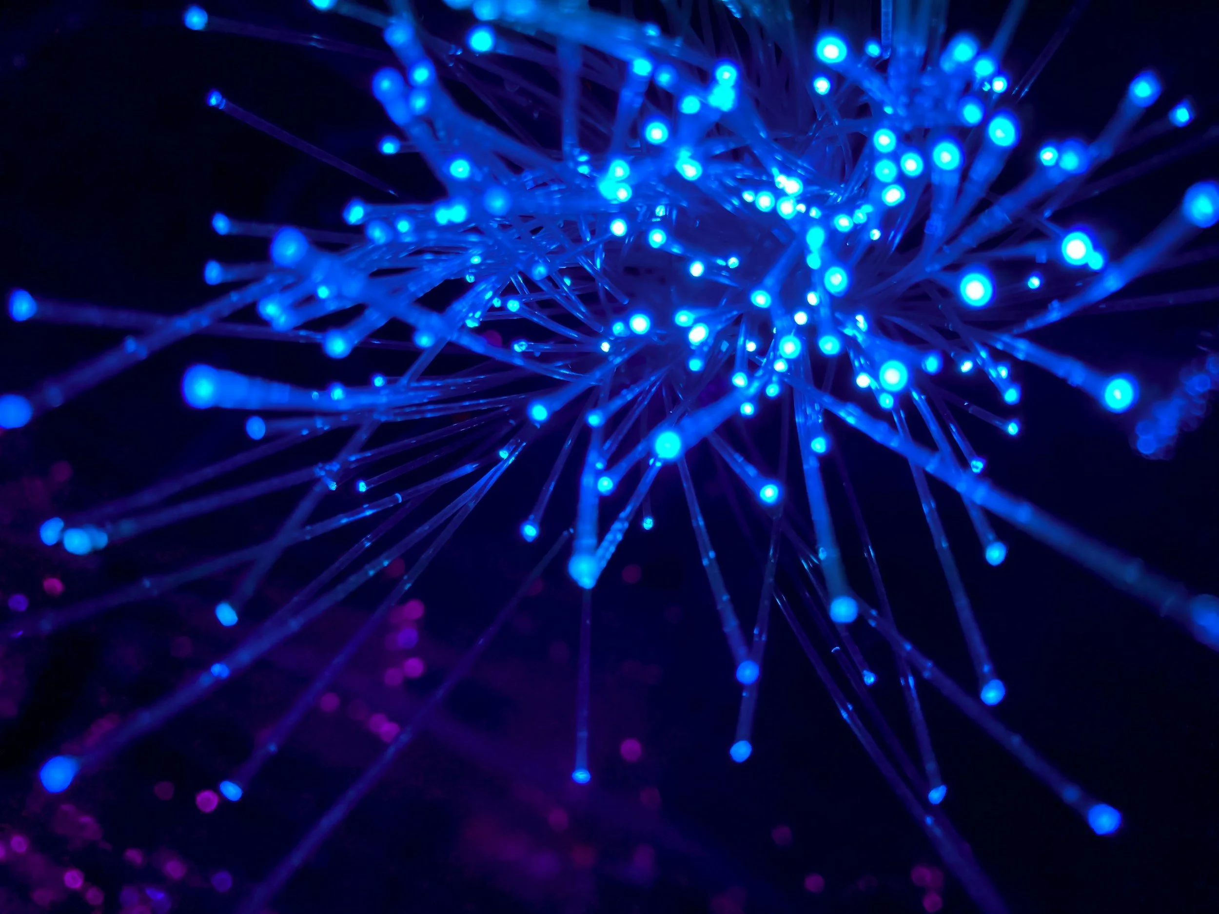 Close-up of blue LED fiber optic lights glowing in darkness