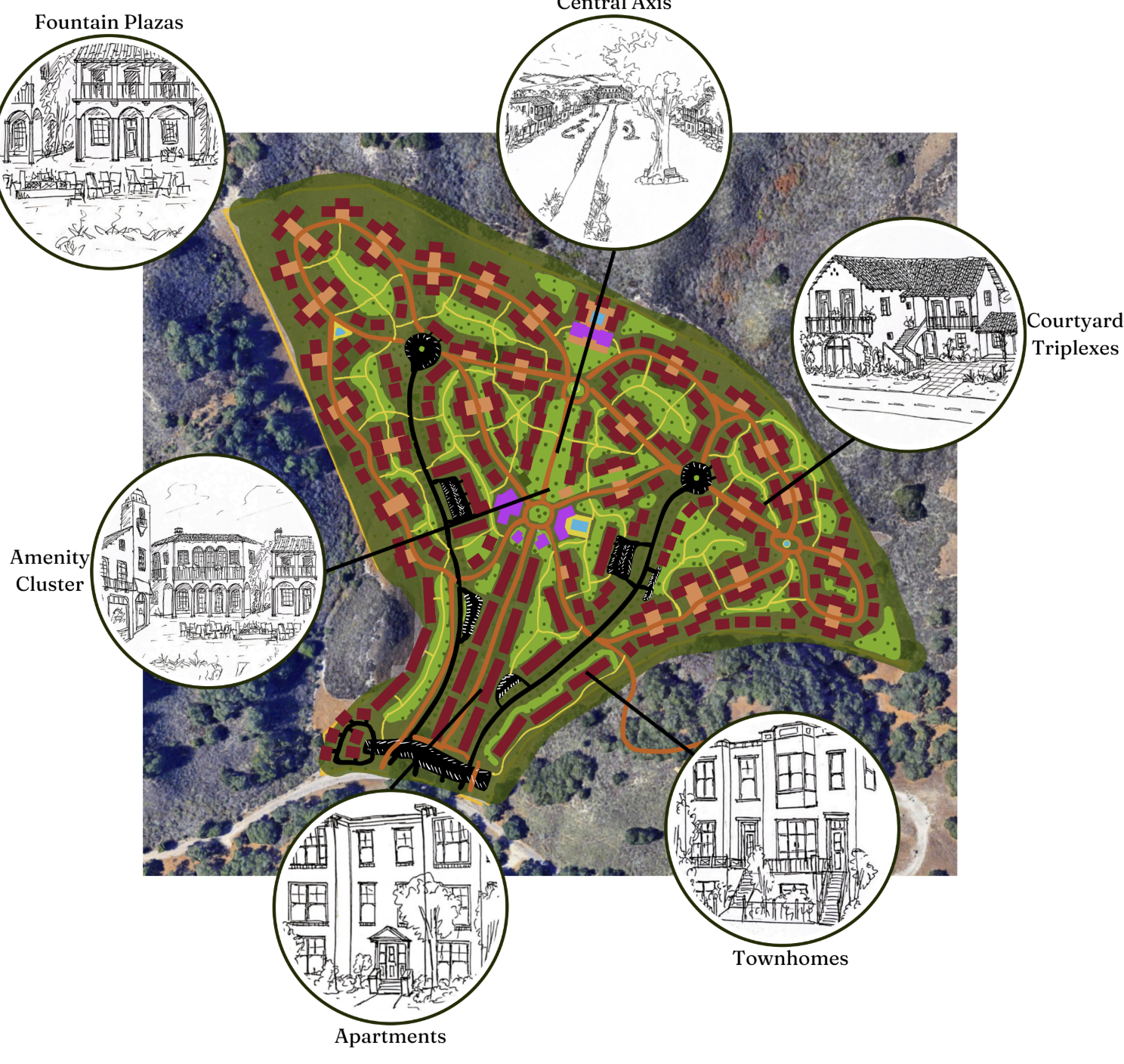 Solomon Hills Thesis