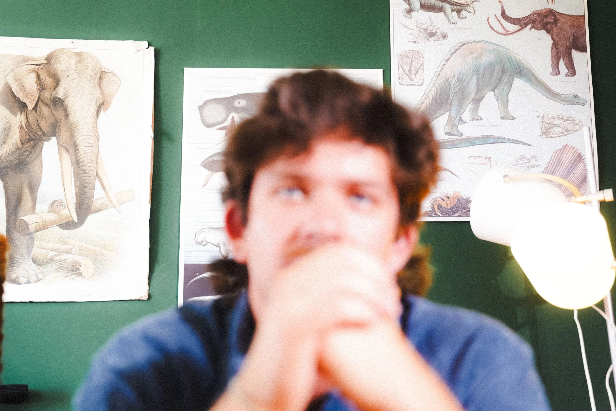 A person with dark hair sitting at a desk in front of a green wall, with dinosaur illustrations on the wall behind him.