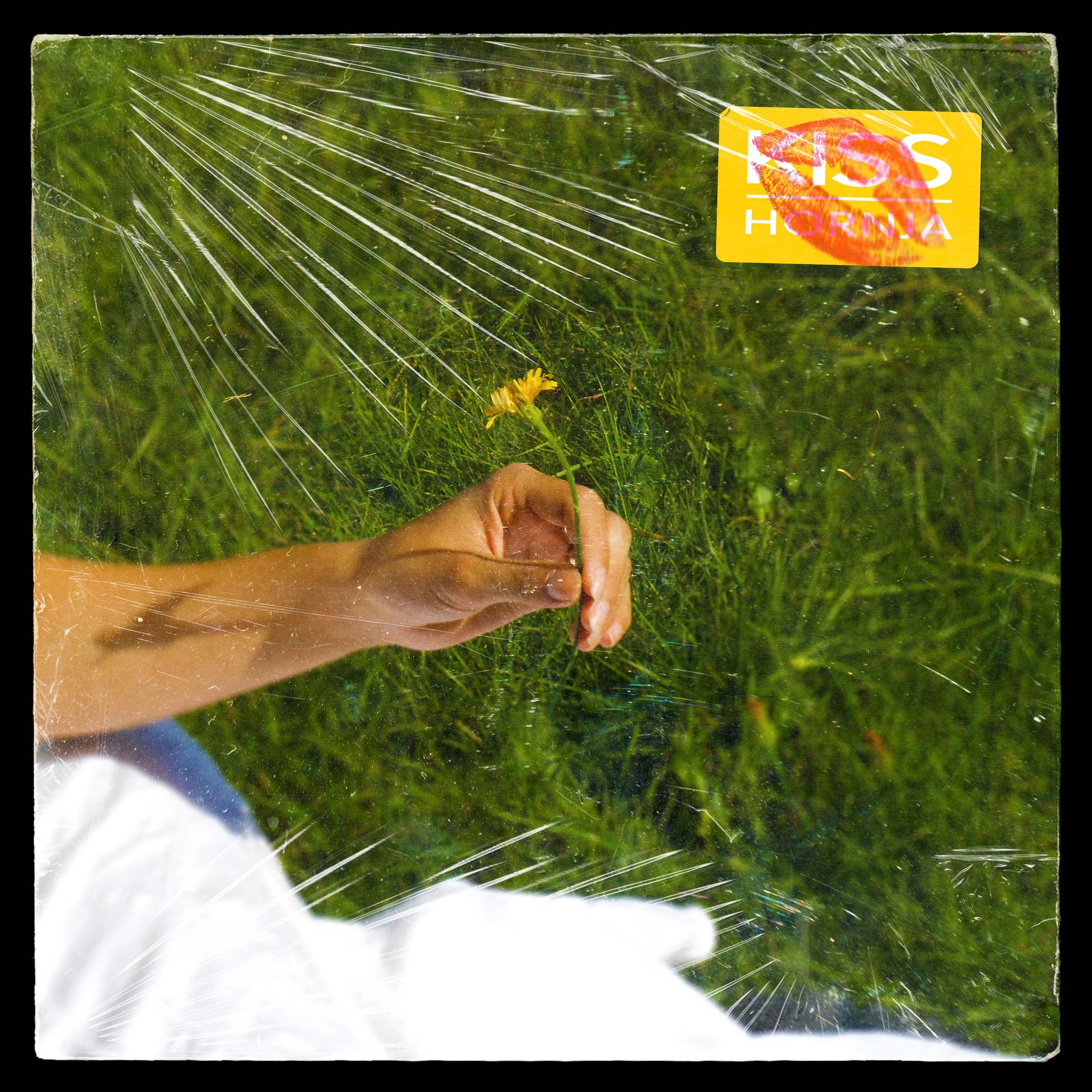 A person holding a yellow flower through a cracked plastic sheet with a sticker that says "KISS HORNJA" and a lip print.