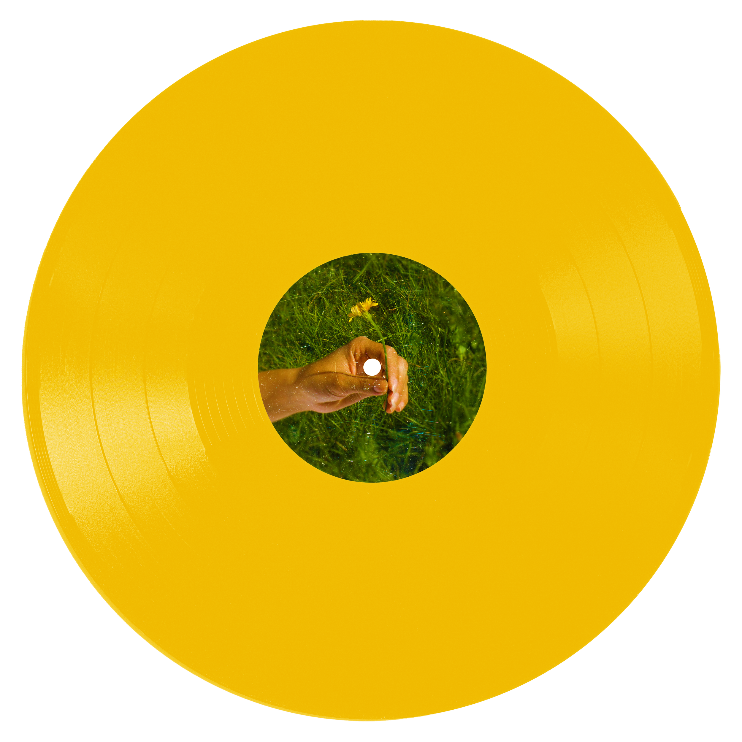 A yellow vinyl record with a label showing a hand holding a small yellow flower against a green grassy background.
