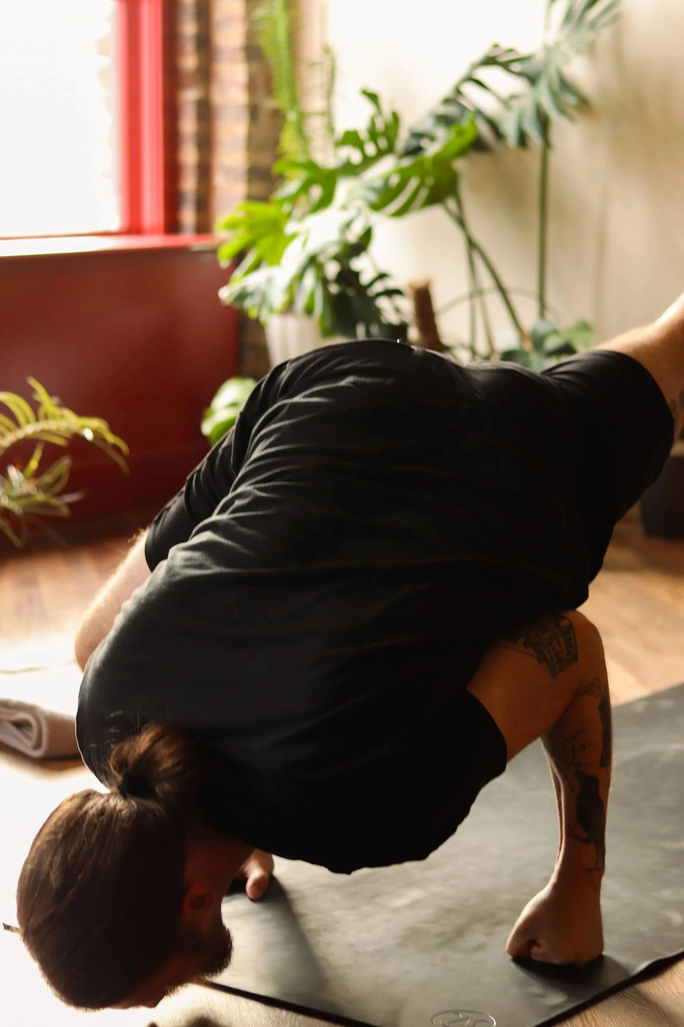 A person with brown hair practicing yoga in a downward dog position on a black yoga mat indoors, with green houseplants in the background and natural light coming through a window.