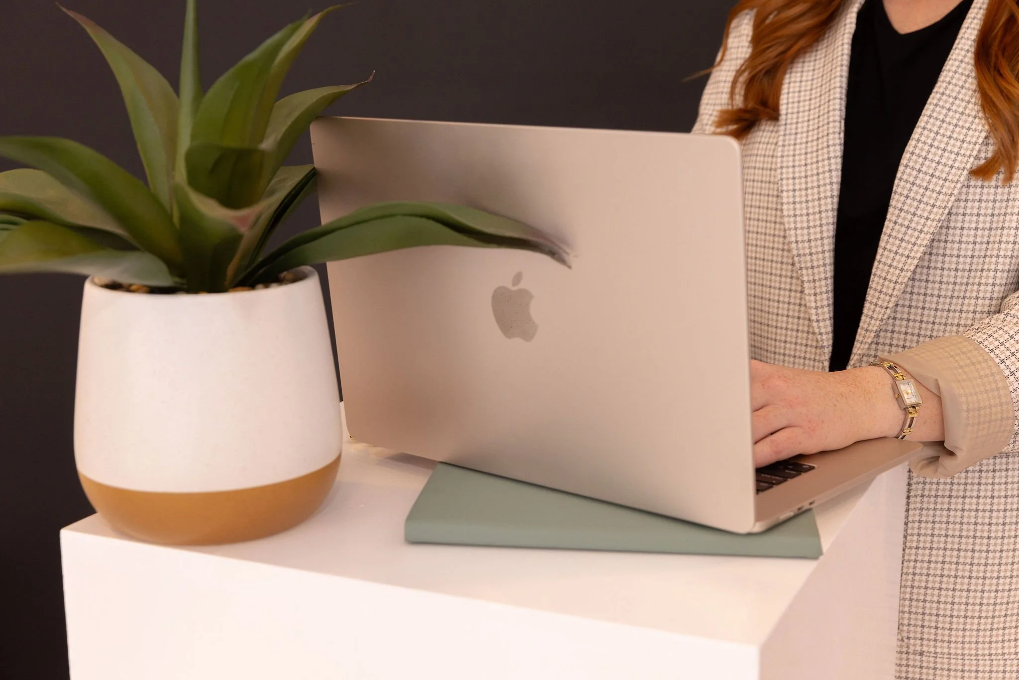 Close-up of a person working on a silver laptop at a white desk, with a potted plant in the foreground and a dark background.
