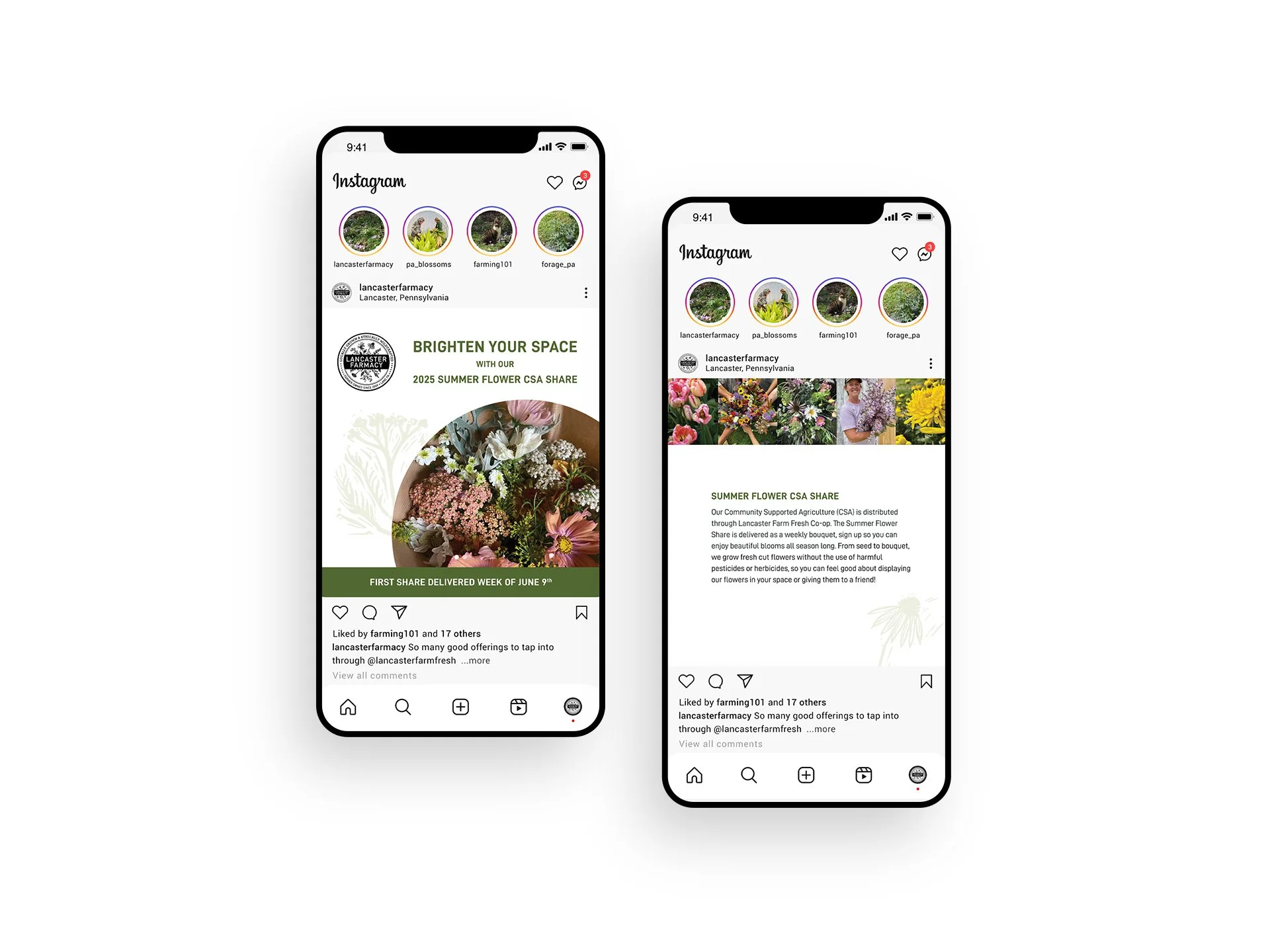 Two phones with Lancaster Farmacy Instagram posts with information about their Community Supported Agriculture Flower Share.