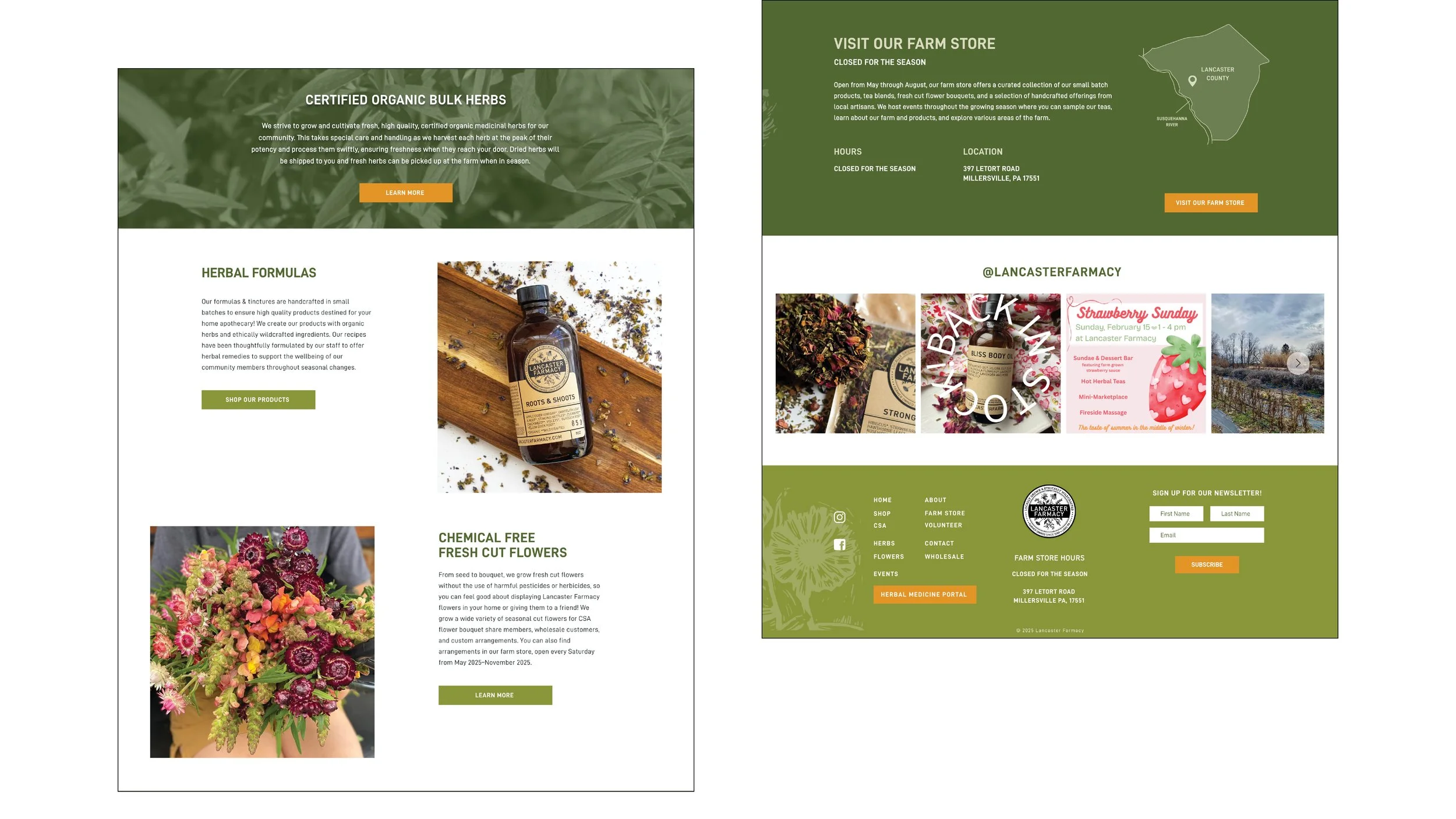 Image of Lancaster Farmacy's Website Redesign. Shows home screen and footer of the website.