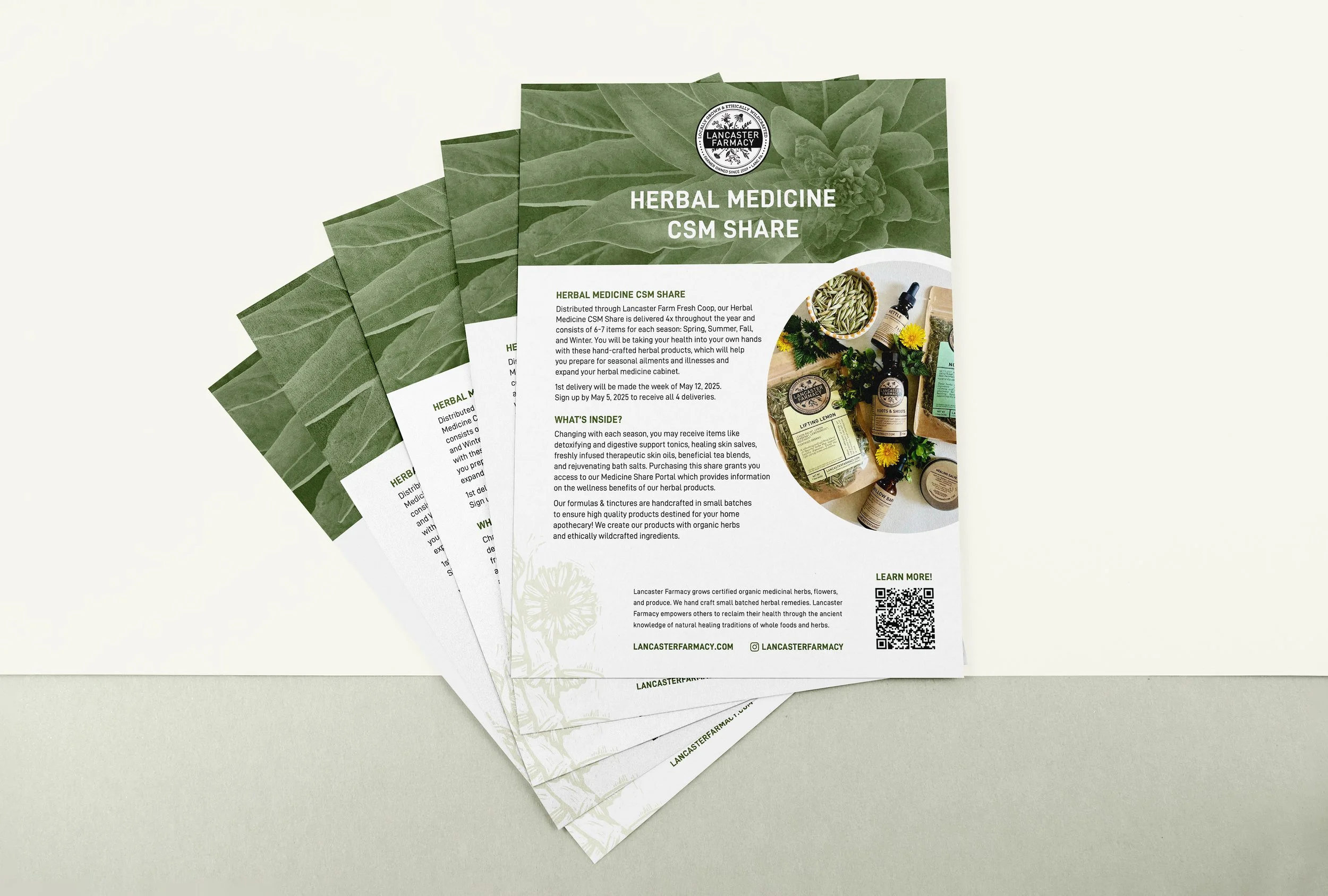 Stack of flyers advertising Lancaster Farmacy's Herbal Medicine Community Supported Medicine Share. Designed by Heather Rose Leiby.