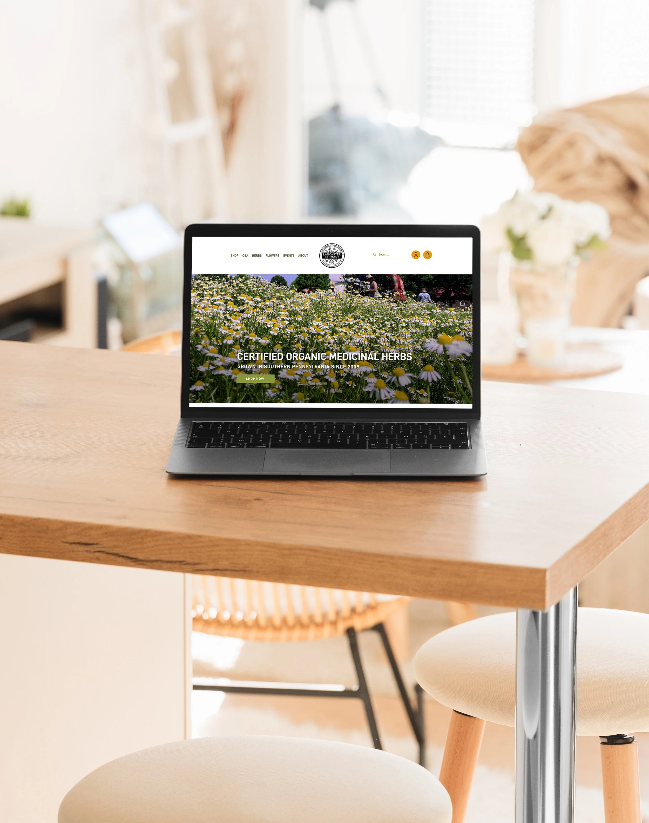 Image showcasing Lancaster Farmacy brand refresh and website design by Heather Rose.