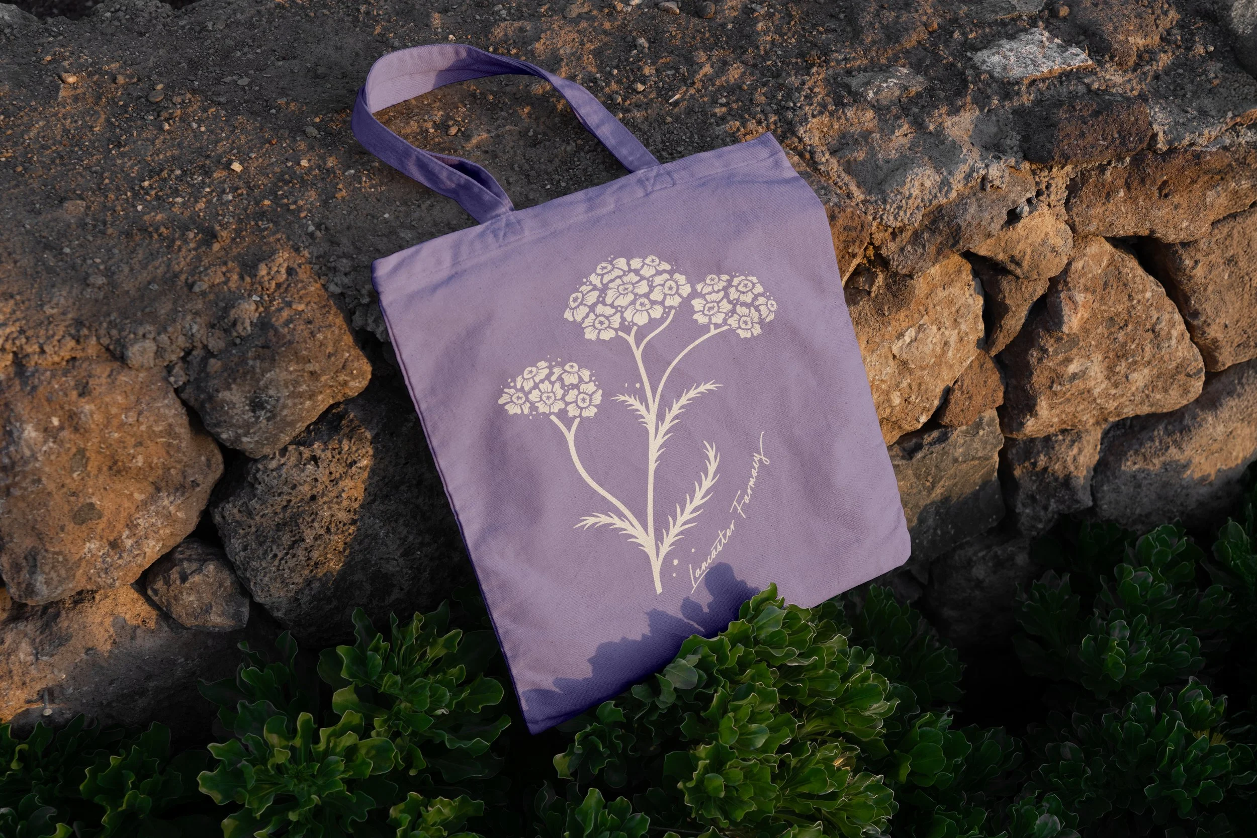 Purple tote bag with yarrow flower vector illustration and Lancaster Farmacy written on it. Yarrow flower vector illustration.