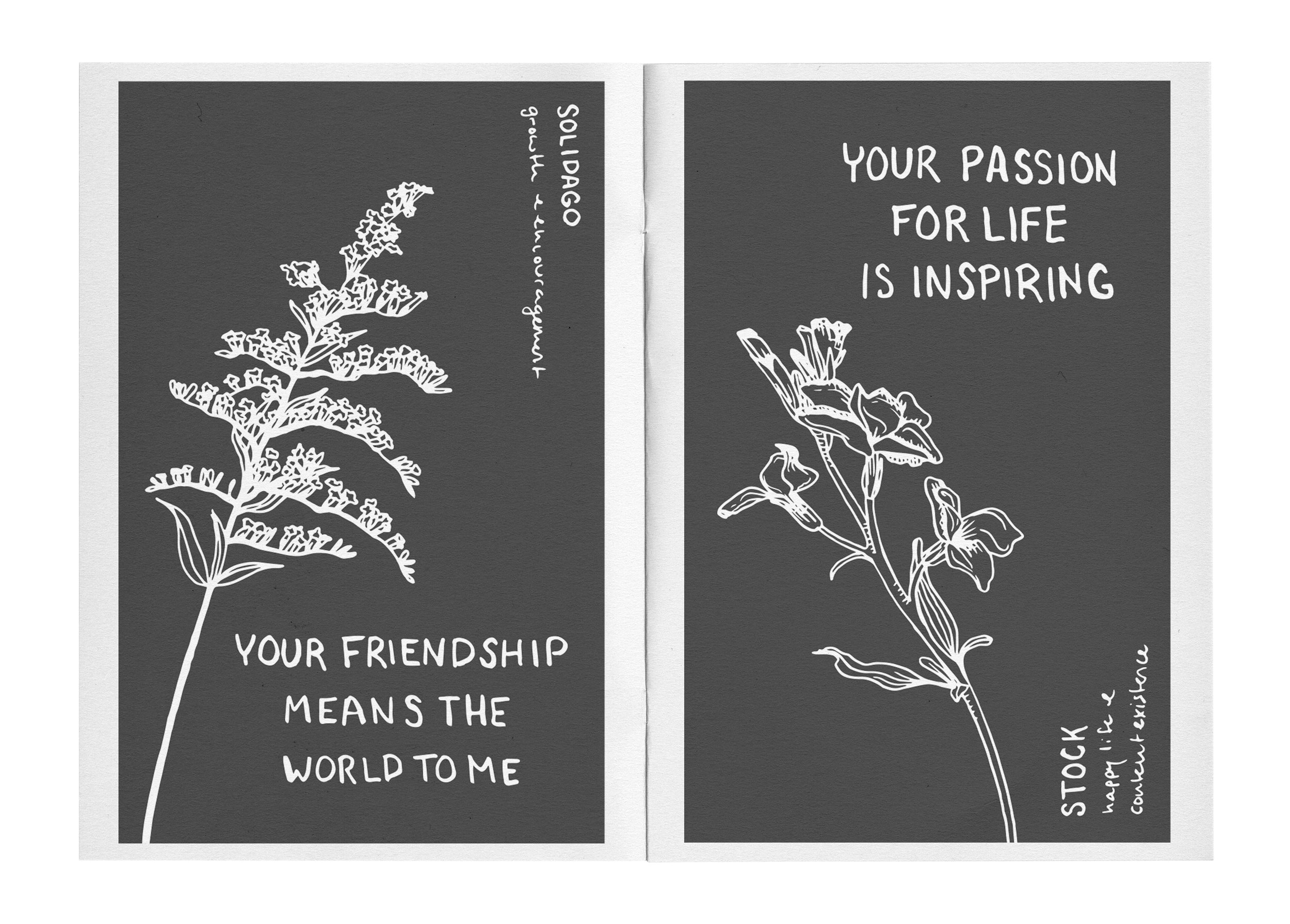 Open zine with drawn golden rod and stock flowers with the words your friendship means the world to me and your passion for life is inspiring.