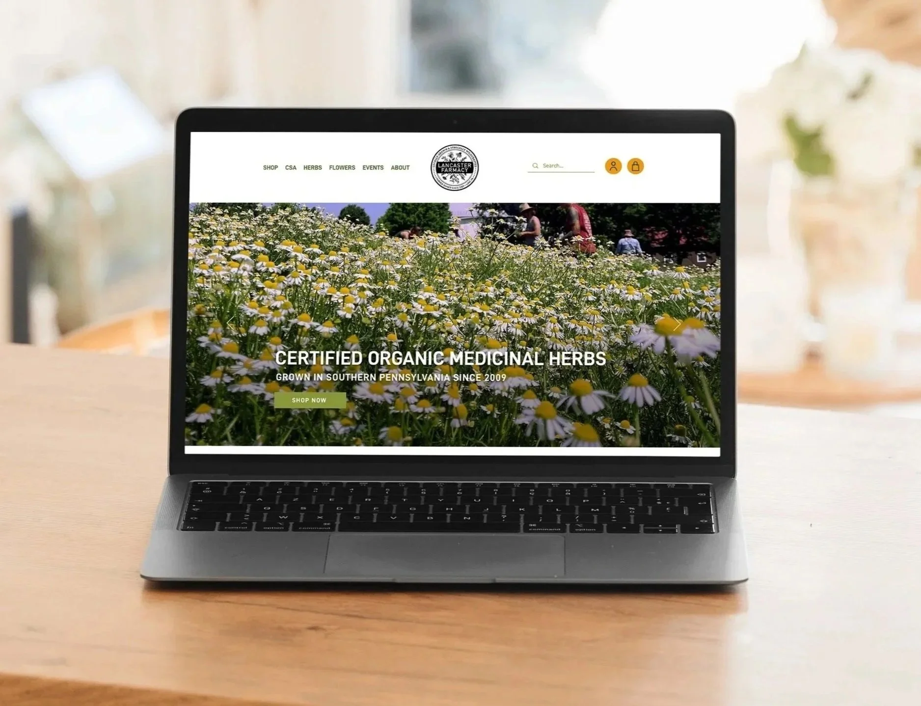 Lancaster Farmacy Website Redesign